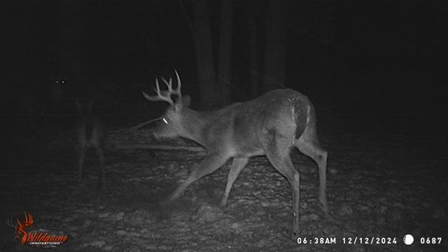 Big Rapids, Michigan, 49307, United States, 3 Bedrooms Bedrooms, ,2 BathroomsBathrooms,Residential,For Sale,1951282