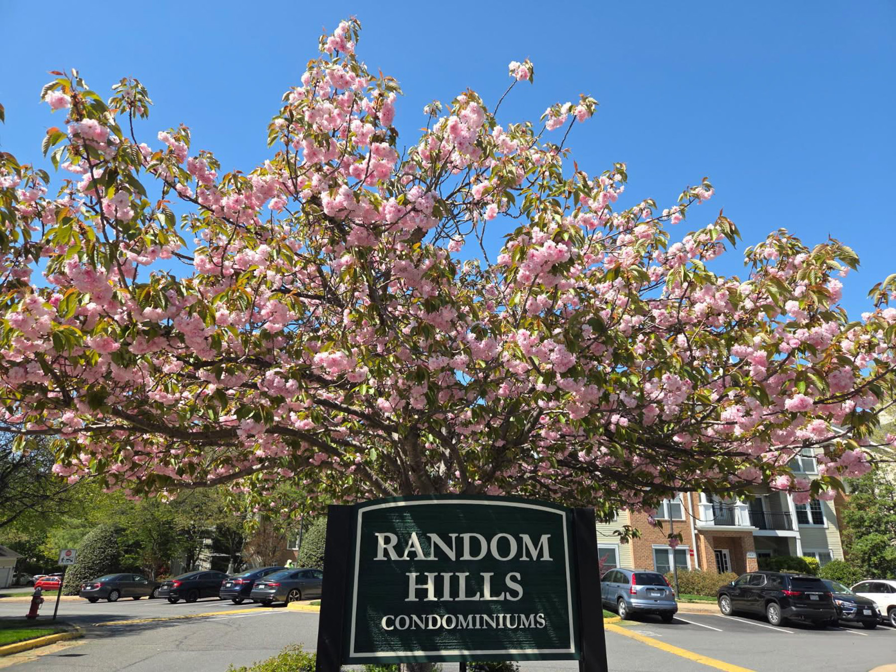  4135 Fountainside Lane, Fairfax, VA 22030 - 物件實景