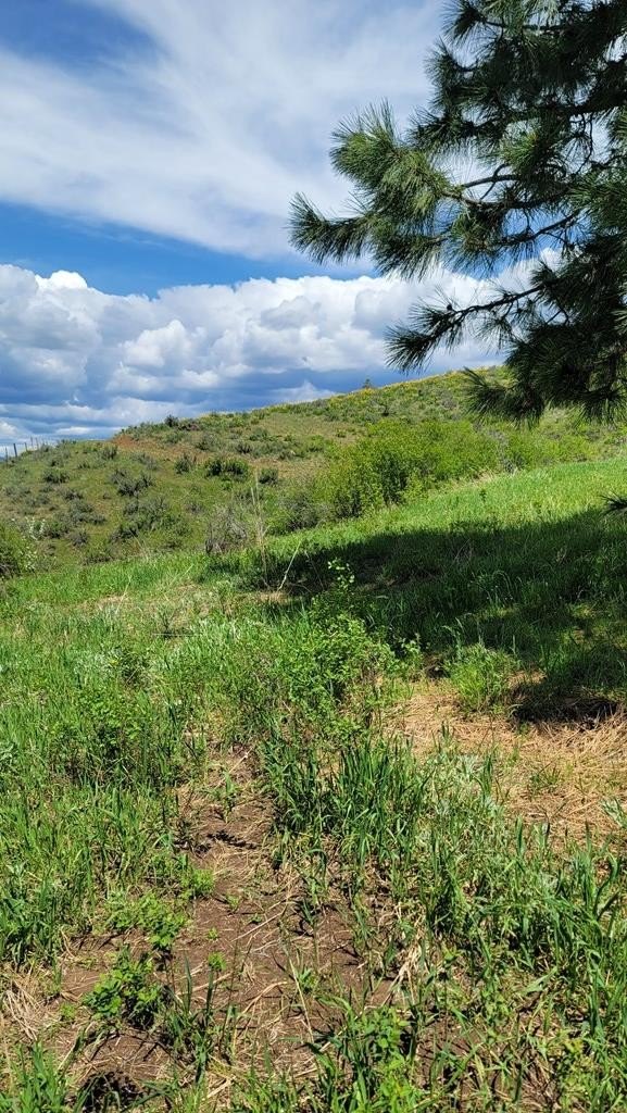 Council, Idaho, 83612, United States, 3 Bedrooms Bedrooms, ,2 BathroomsBathrooms,Residential,For Sale,1980798