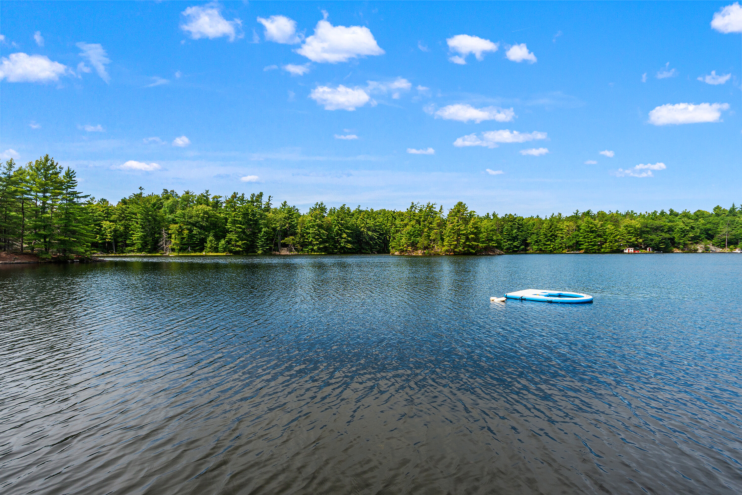  Go Home Lake Family Cottage - 物件實景