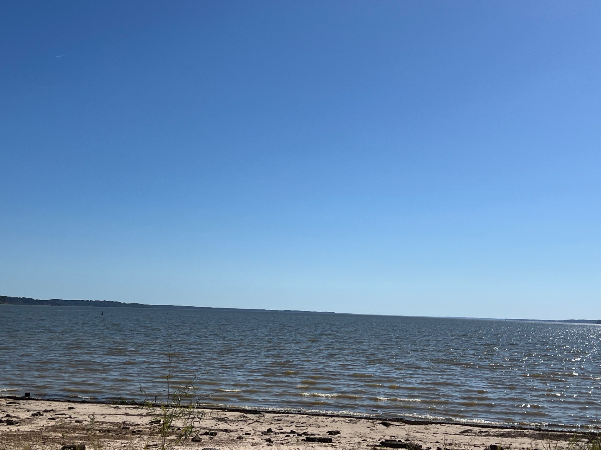 Converse, Louisiana, 71419, United States, ,Residential,For Sale,1995387