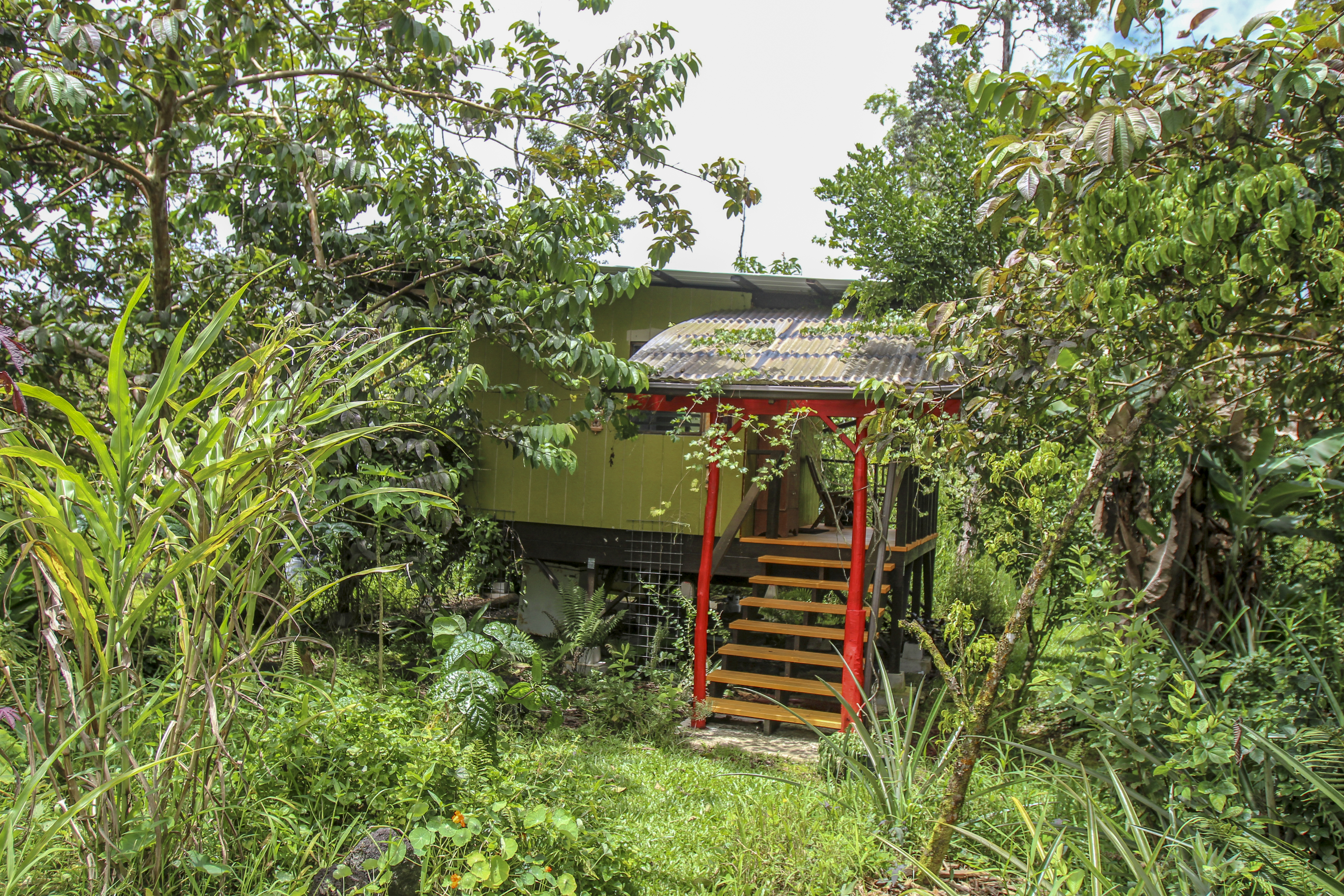 16-1517 Poouli Rd, Kurtistown, HI, 96760 - 物件實景