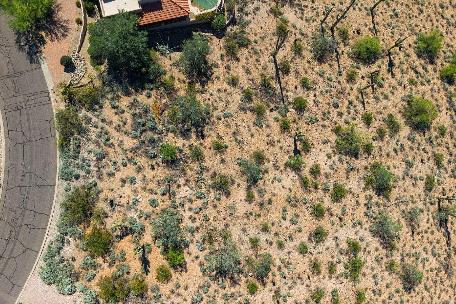  11220 N Garland Circle¦Fountain Hills, AZ - 物件實景