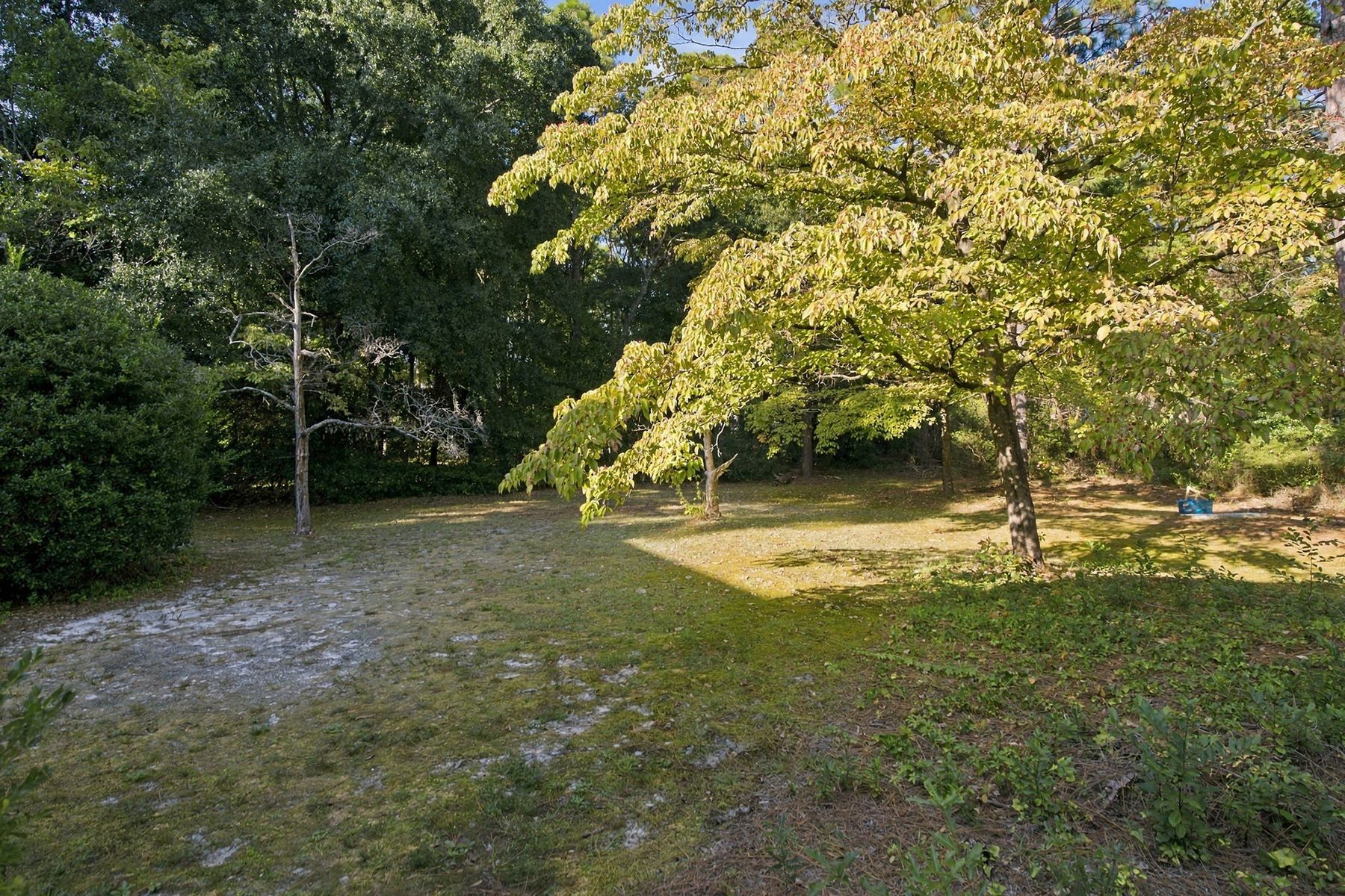  2209 Waverly Drive, Wilmington, NC 28403 - 物件實景