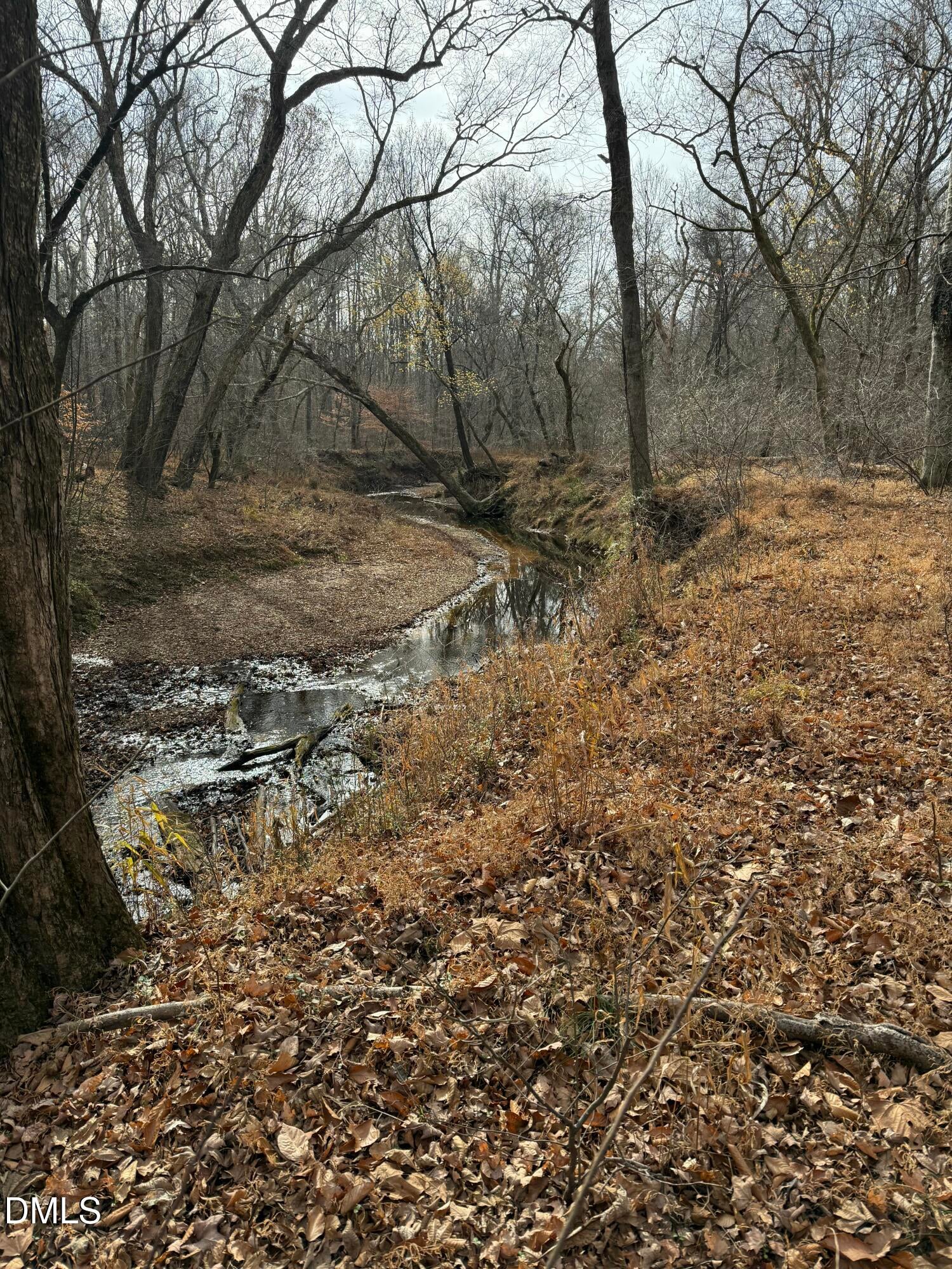 Oxford, North Carolina, 27565, United States, ,Land,For Sale,2000467