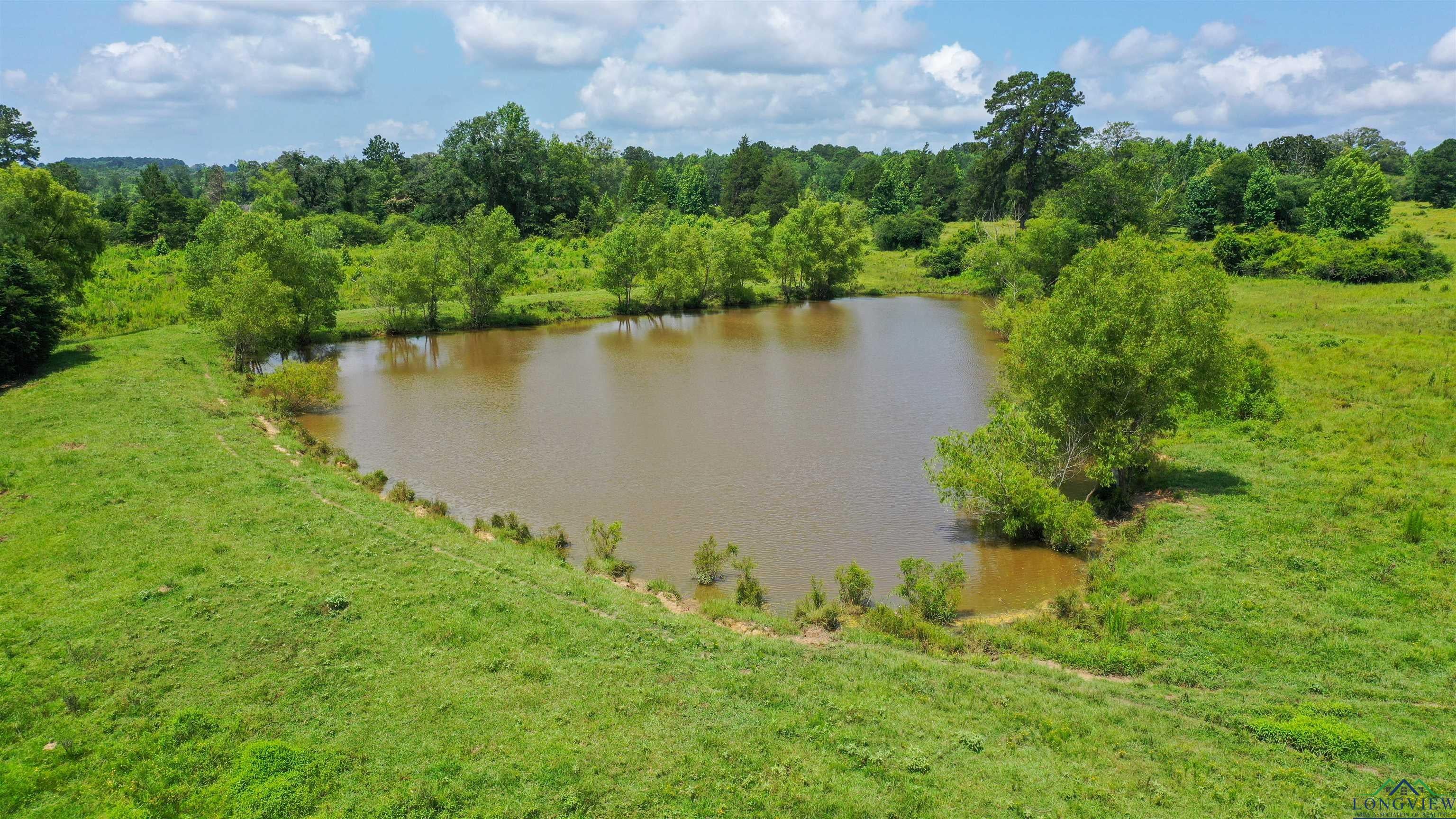 Linden, Texas, 75563, United States, ,Residential,For Sale,1809519
