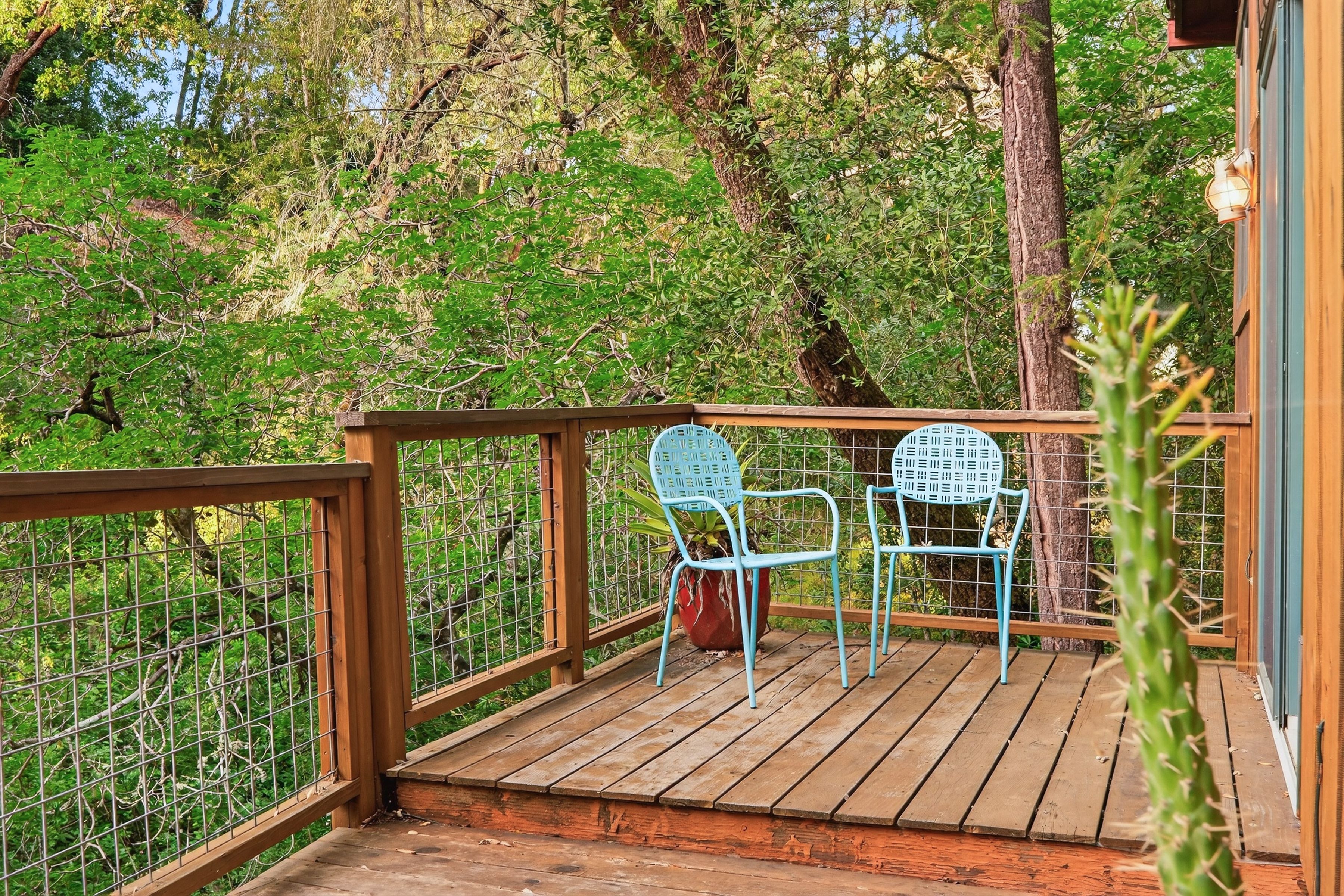  116 Hill Road - 物件實景