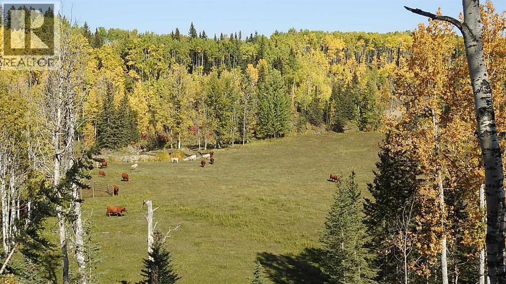 RURAL FOOTHILLS COUNTY, Alberta, T0L 1K0, CA, ,Residential,For Sale,1947264