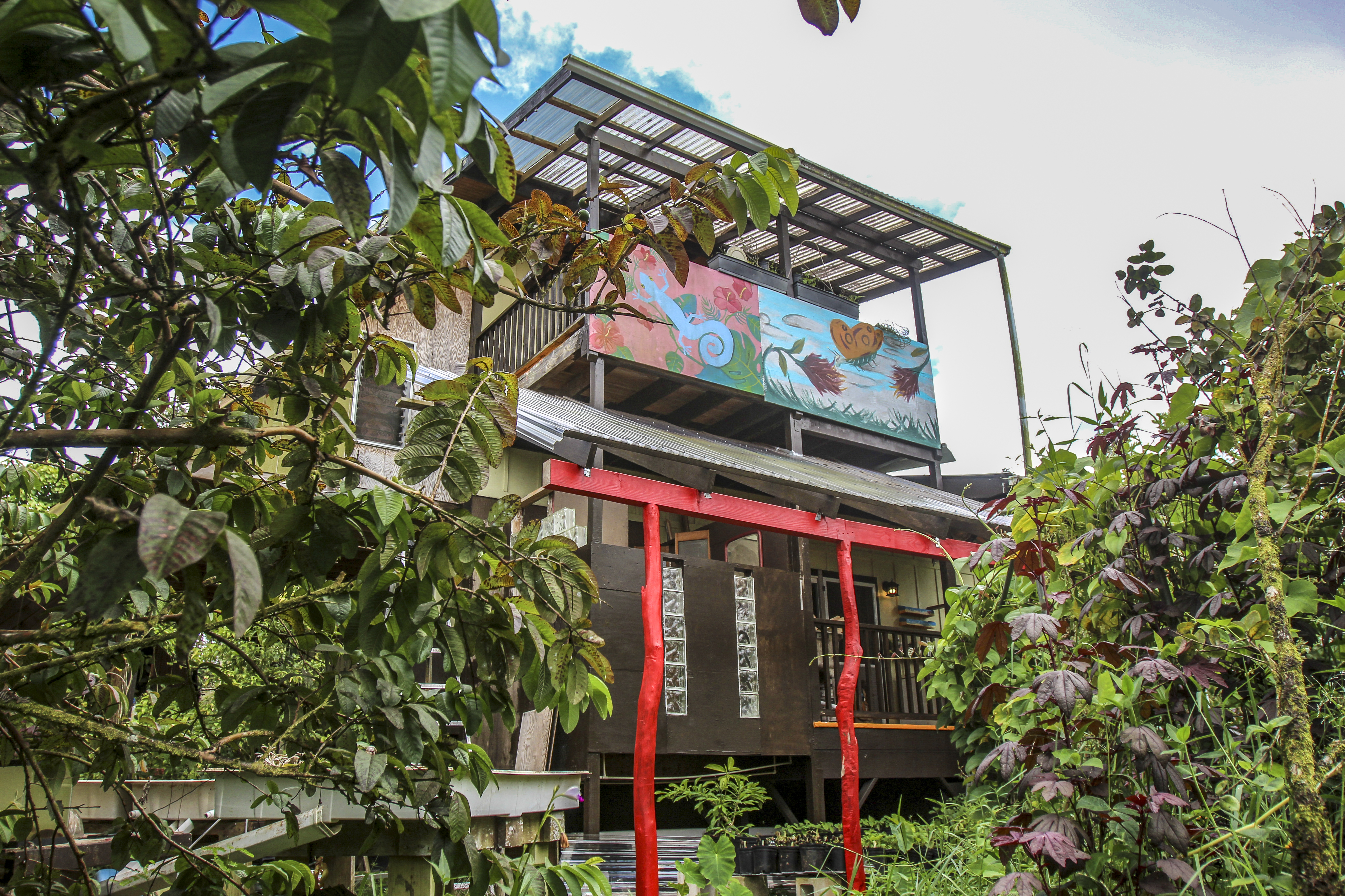  16-1517 Poouli Rd, Kurtistown, HI, 96760 - 物件實景