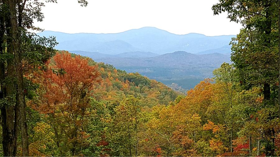 Union Mills, North Carolina, 28167, United States, ,Residential,For Sale,1791554