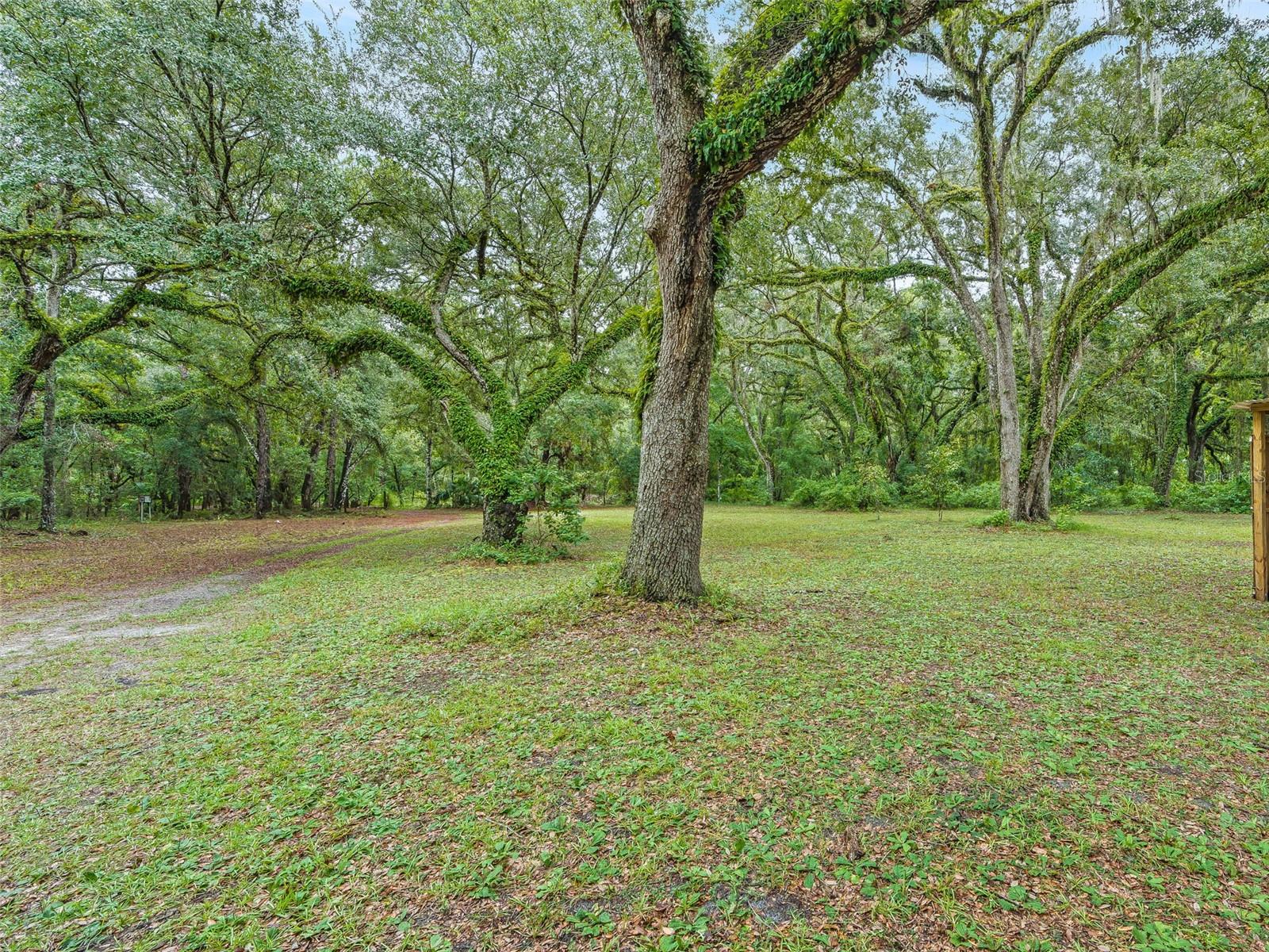Bushnell, Florida, 33513, United States, 2 Bedrooms Bedrooms, ,2 BathroomsBathrooms,Residential,For Sale,1927706