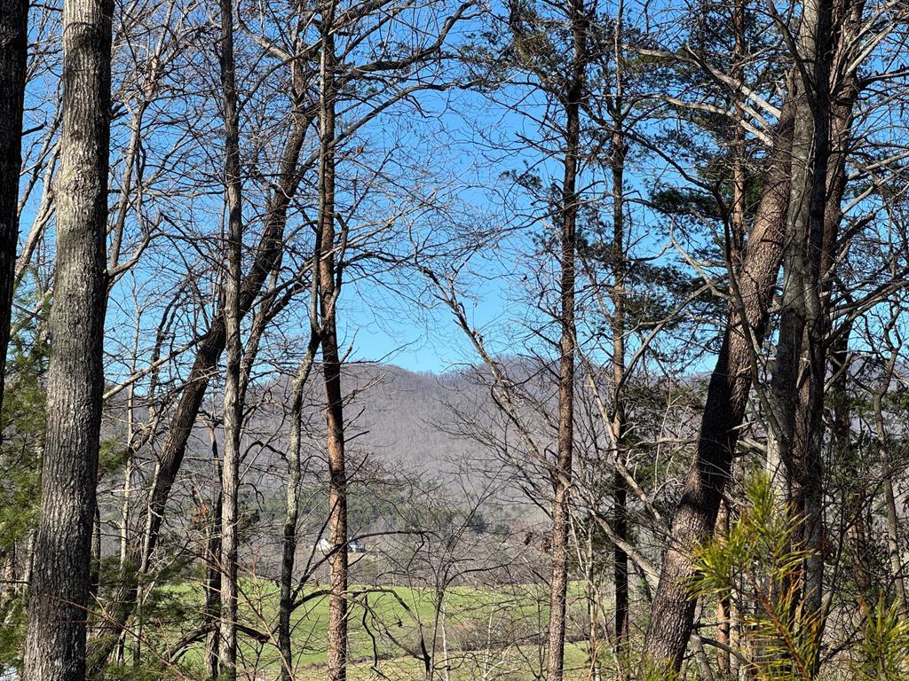 Blairsville, Georgia, 30512, United States, 4 Bedrooms Bedrooms, ,3 BathroomsBathrooms,Residential,For Sale,1858938