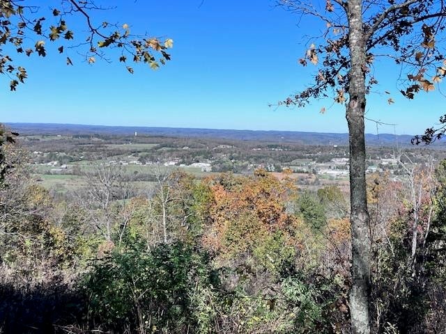 Mountain View, Arkansas, 72560, United States, 3 Bedrooms Bedrooms, ,2 BathroomsBathrooms,Residential,For Sale,1792514