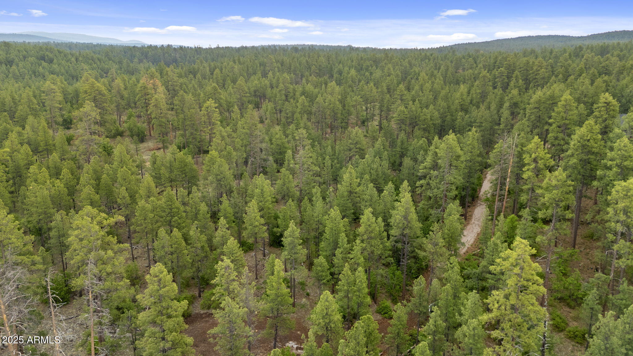 Munds Park, Arizona, 86017, United States, ,Land,For Sale,1865500