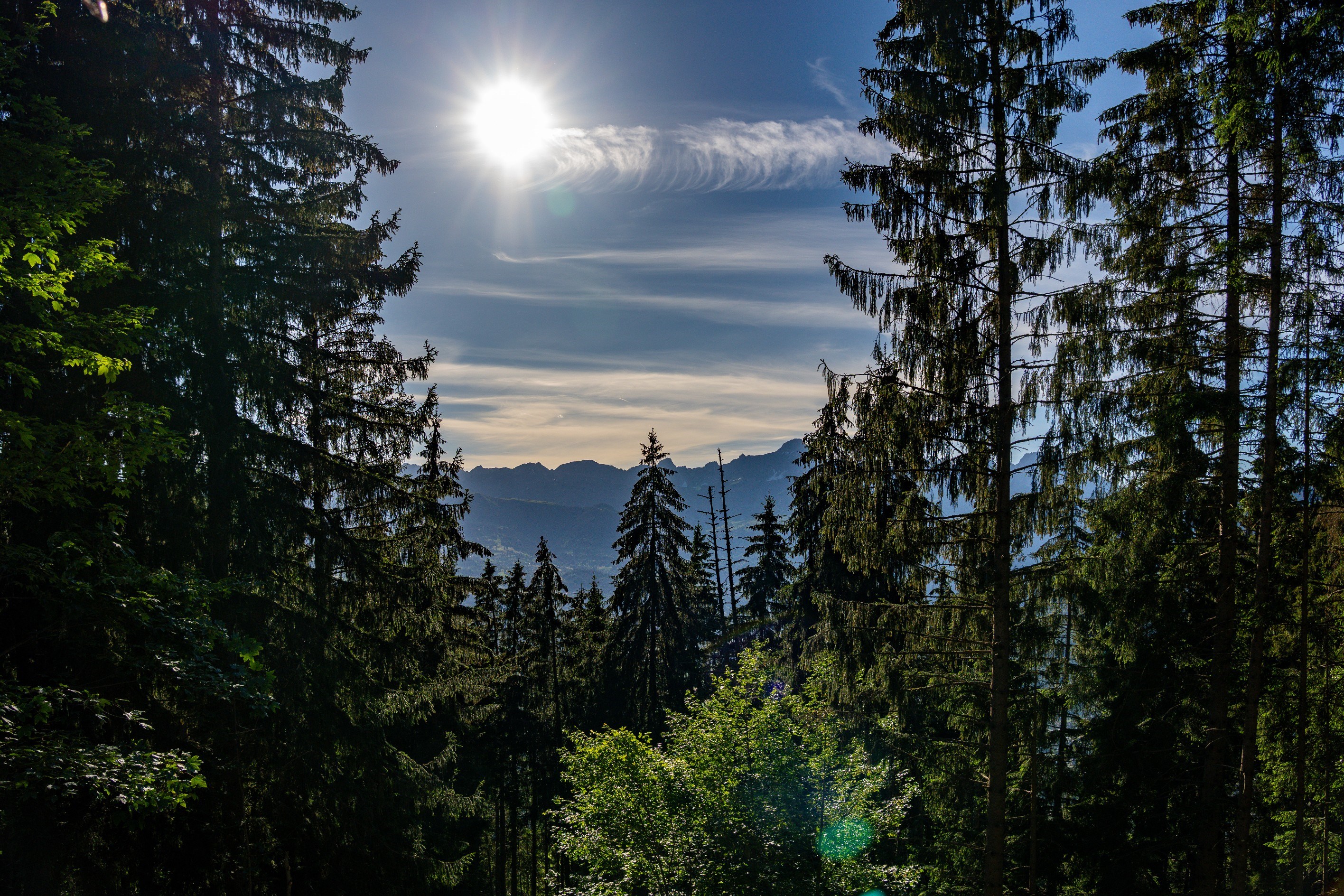  EXCLUSIVITY - CHALET DIANE - 物件實景