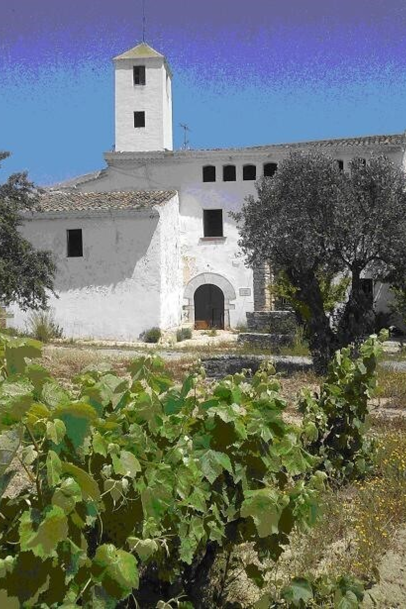  Masia with Vineyards and 3.13 Hectares in Vilanova i la Geltrú - 物件實景