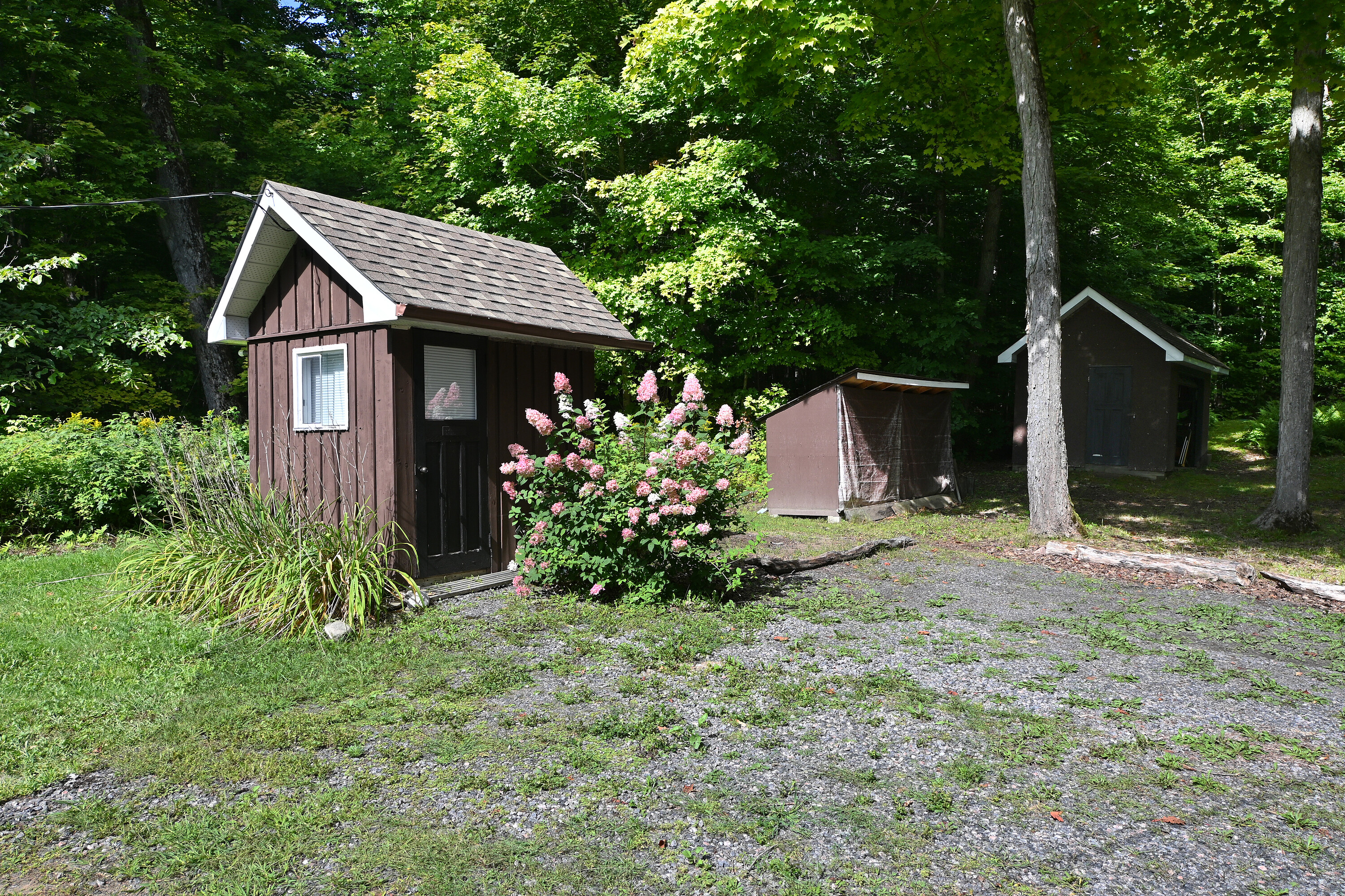  Charming, Cute and Compact - 物件實景