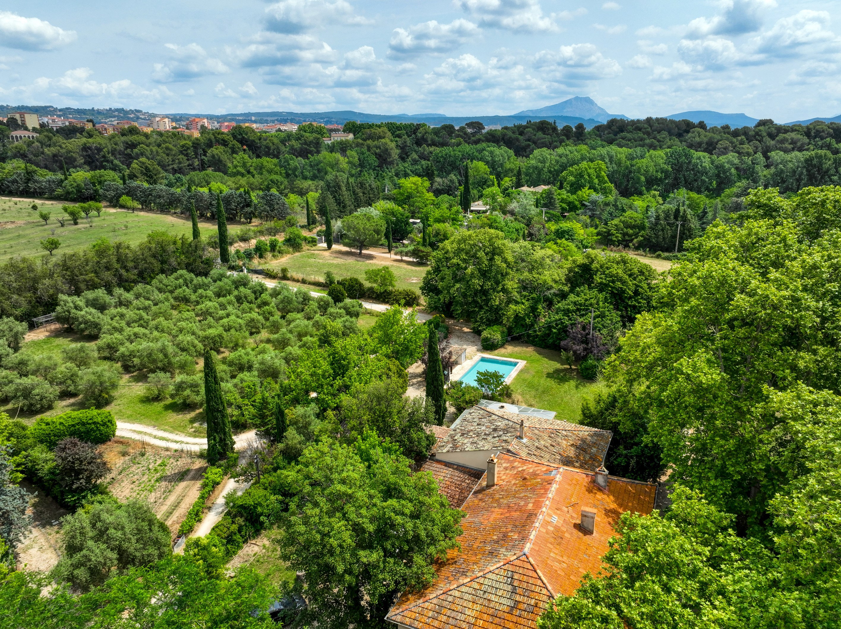  DOMAIN WITH 4 HOUSES AND A BASTIDE XVIII - 物件實景