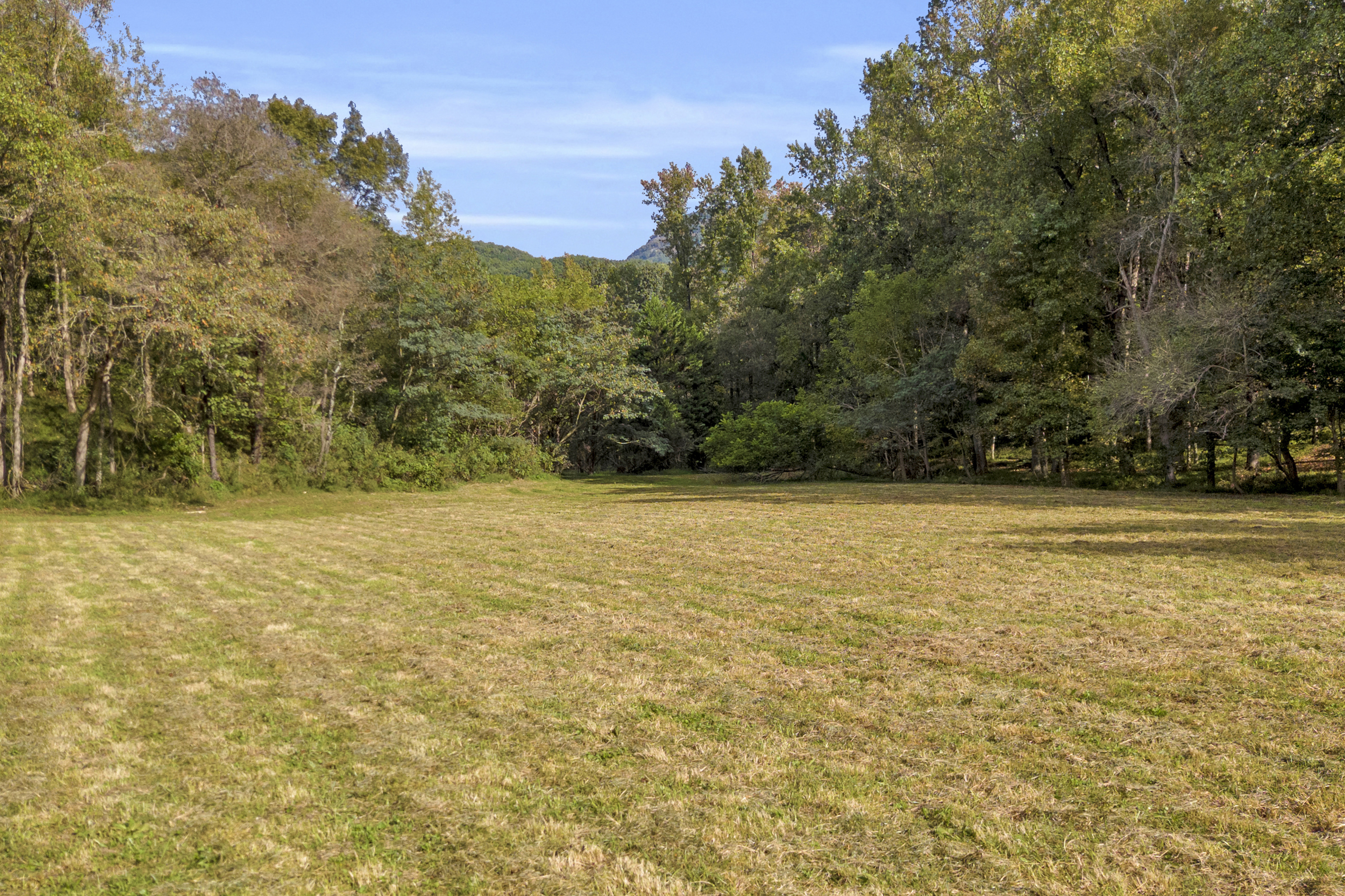 Cleveland, Georgia, 30528, United States, 3 Bedrooms Bedrooms, ,2 BathroomsBathrooms,Residential,For Sale,1979350