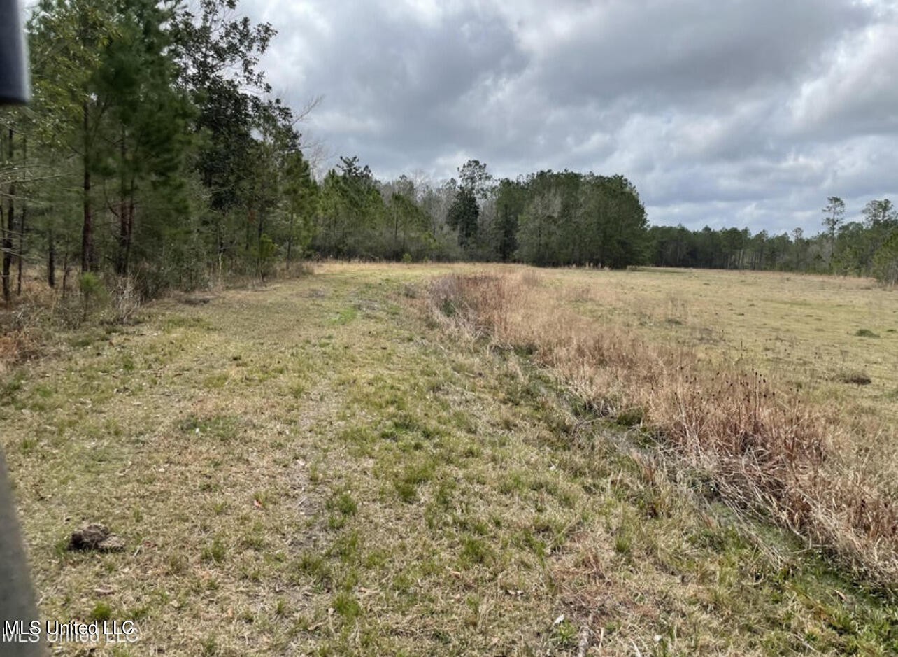 Kiln, Mississippi, 39556, United States, ,Land,For Sale,1978803