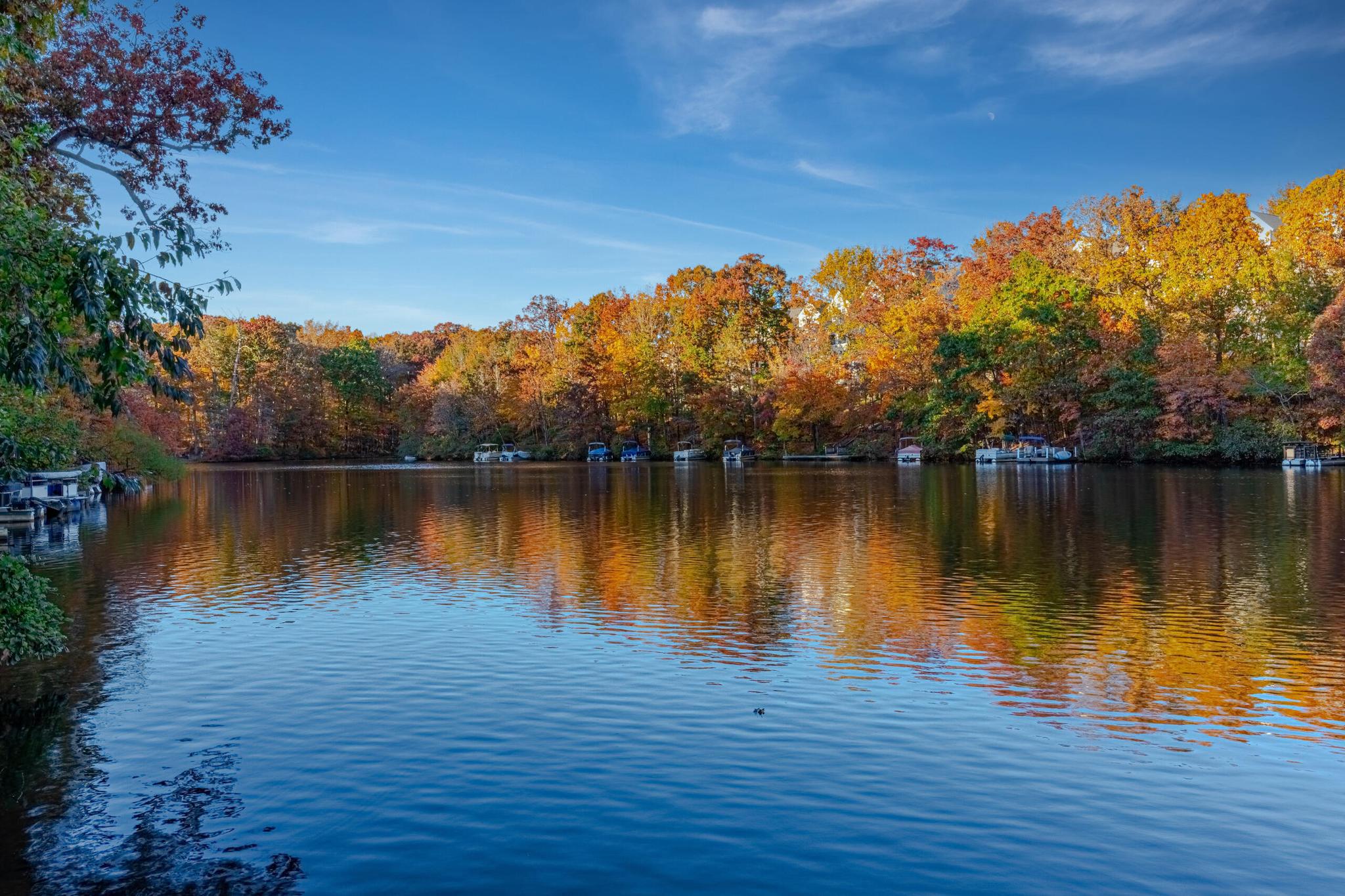  2256 Gunsmith Square, Reston, VA, 20191 - 物件實景