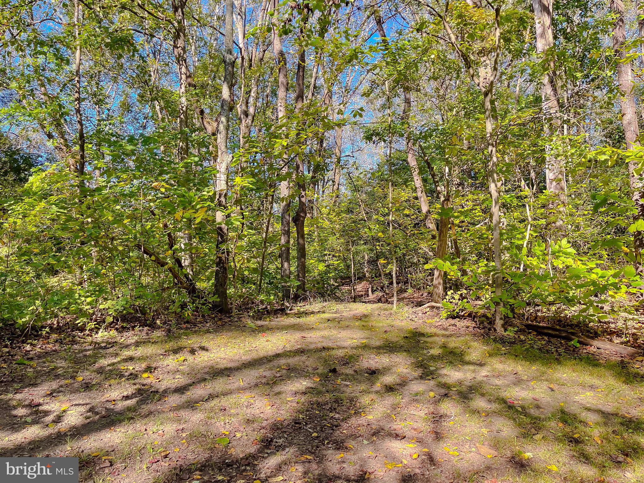 Hollywood, Maryland, 20636, United States, 3 Bedrooms Bedrooms, ,2 BathroomsBathrooms,Residential,For Sale,1978416