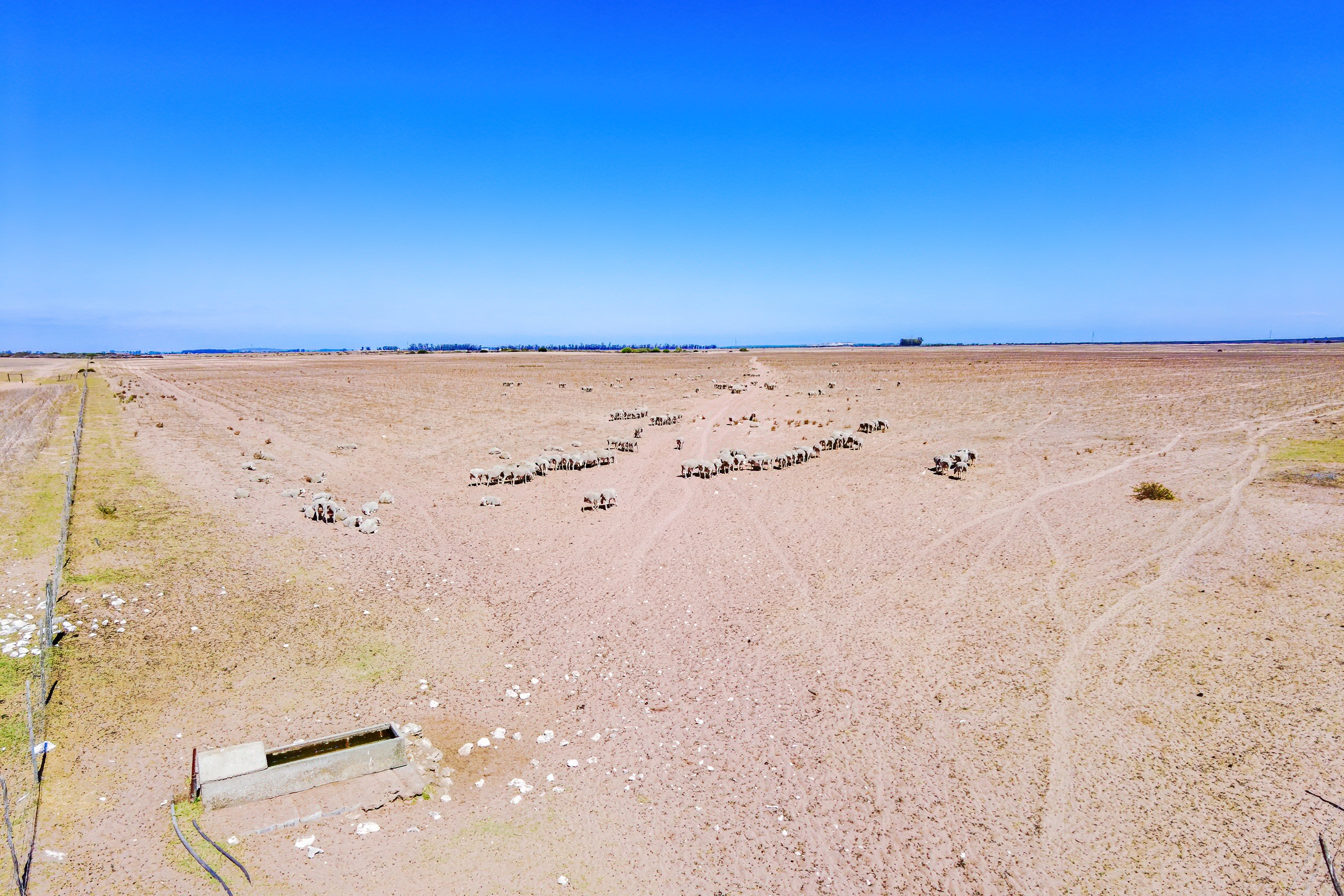  81/4 Brakfontein farm - 物件實景