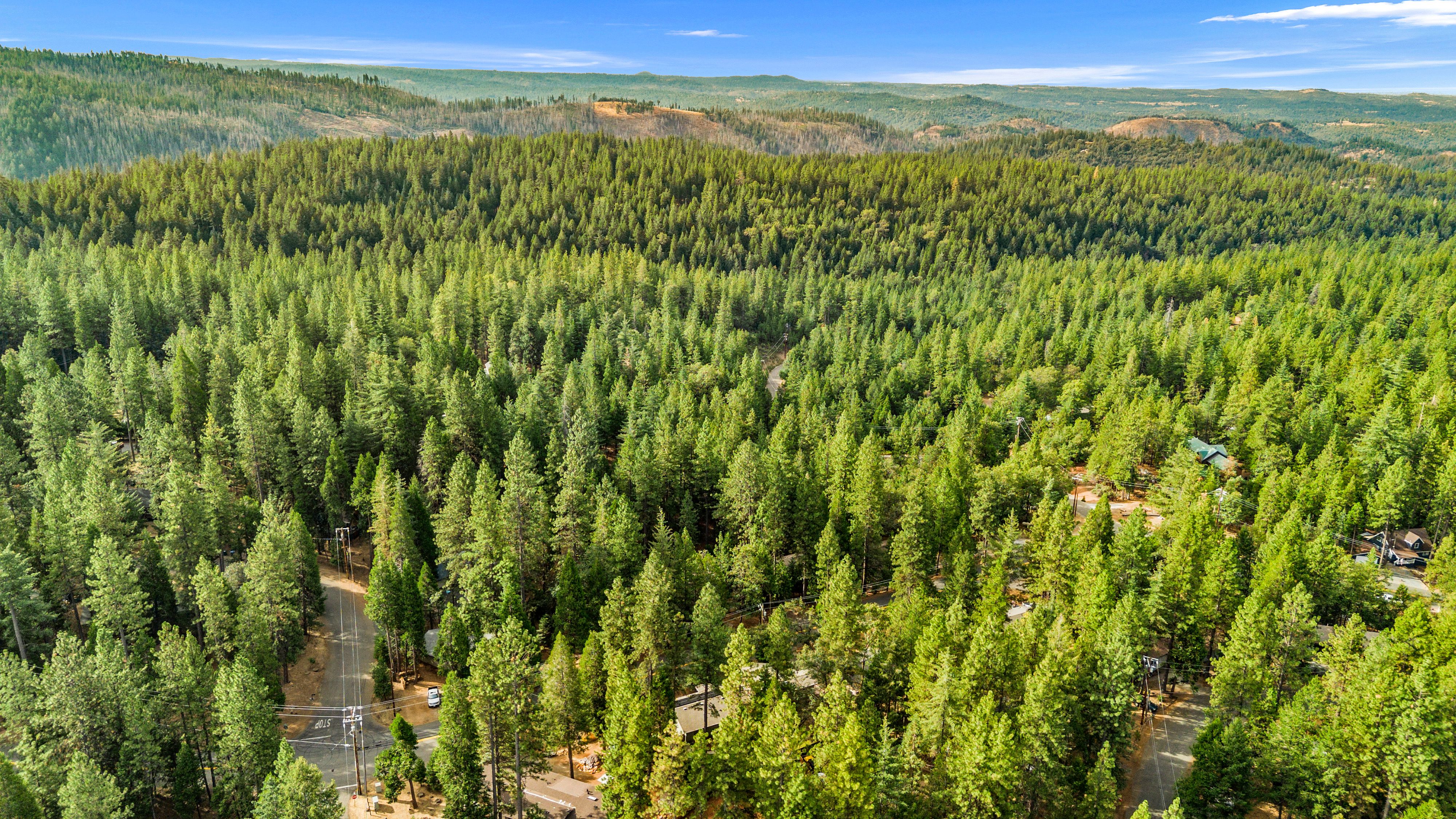  5648 Sierra Springs Drive, Pollock Pines, CA 95726 - 物件實景