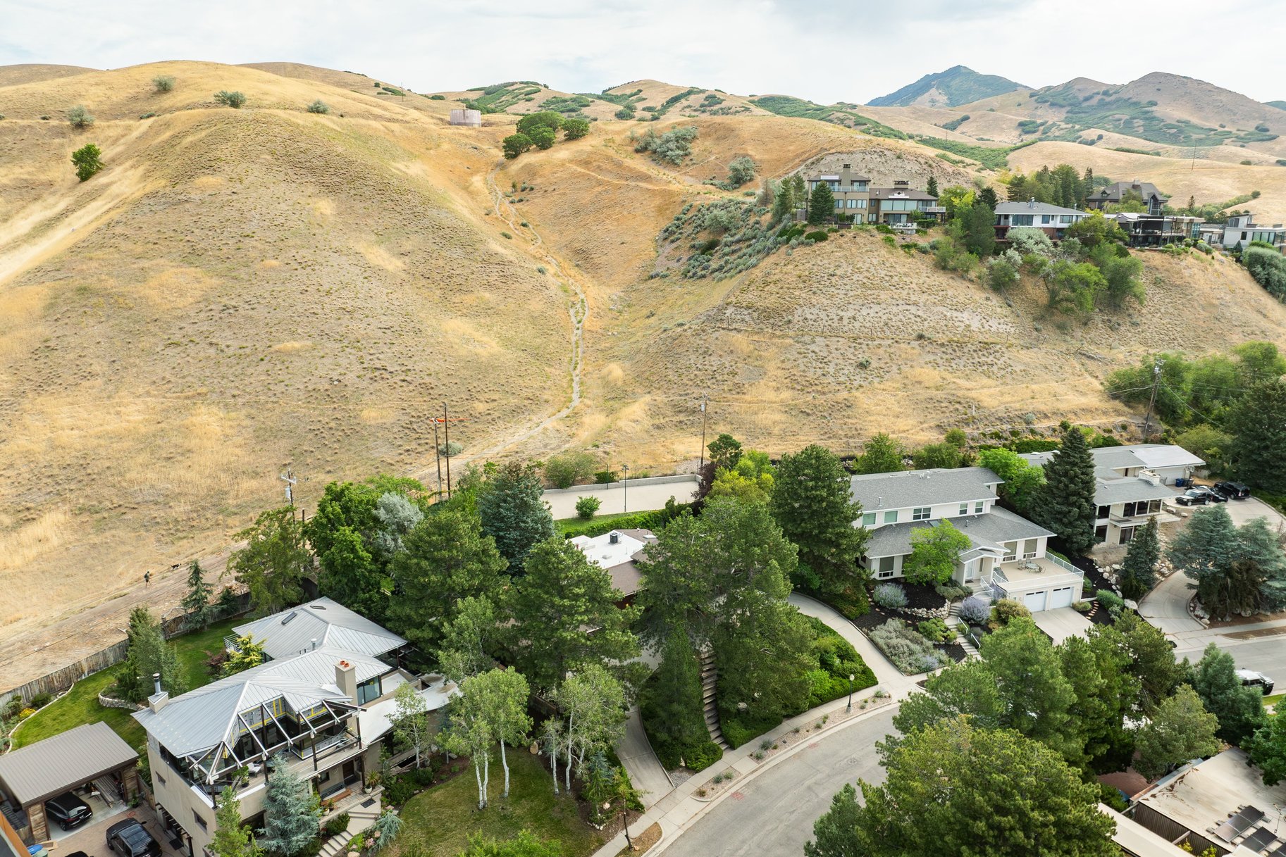  In the Tree Midcentury Modern Backing up to Shoreline Trail - 物件實景