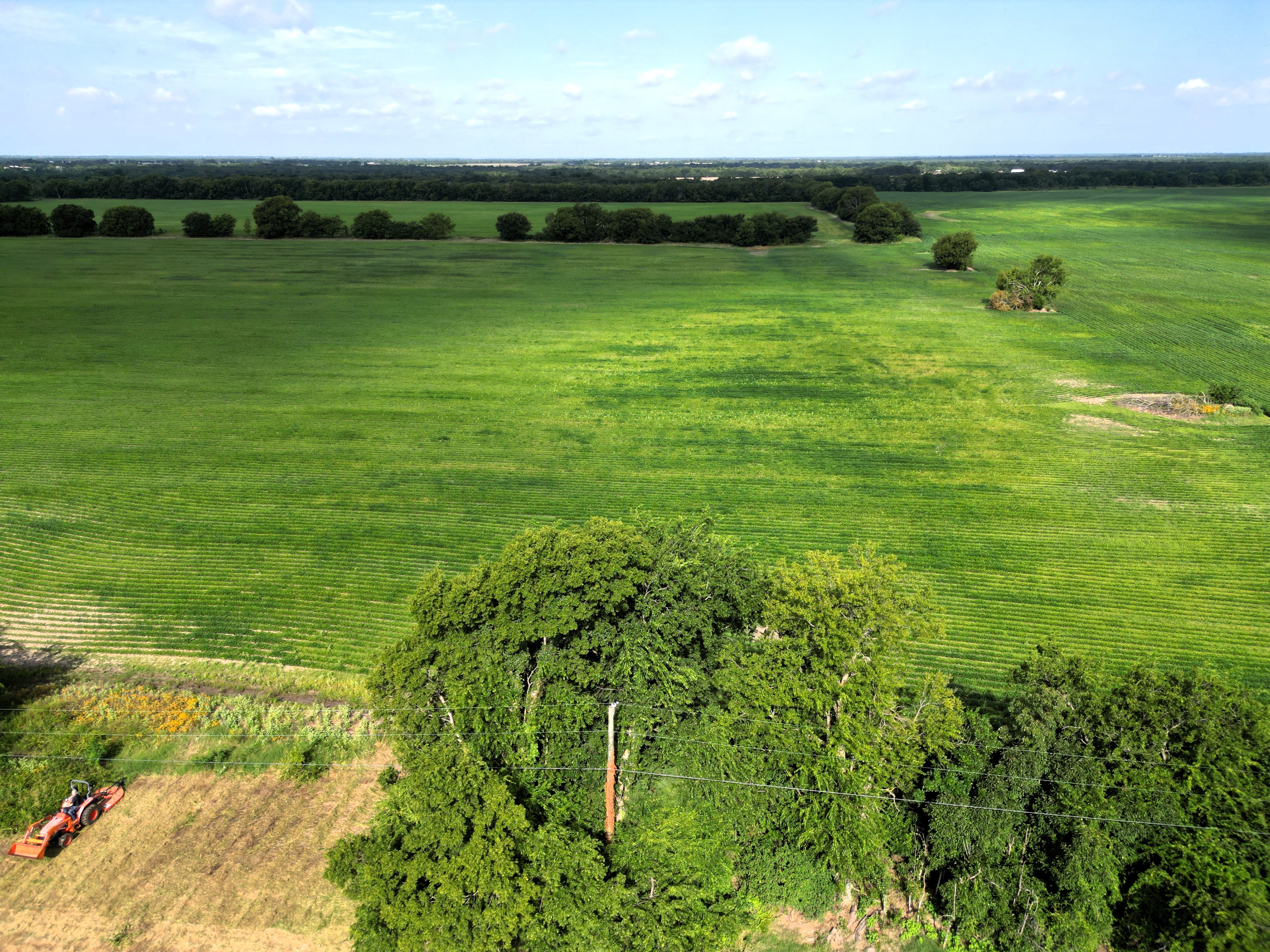 Commerce, Texas, 75428, United States, ,Residential,For Sale,1921218