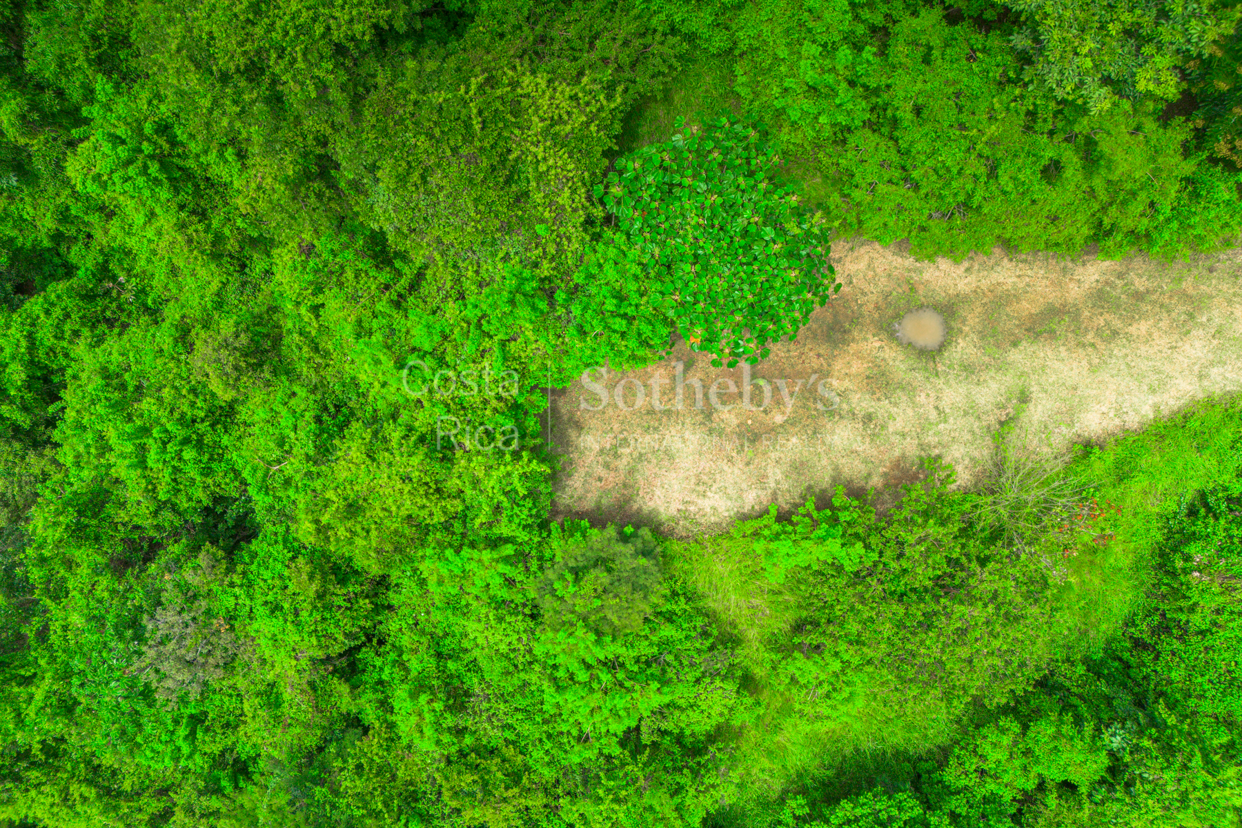  Atenas Highlands Eco Estate - 物件實景