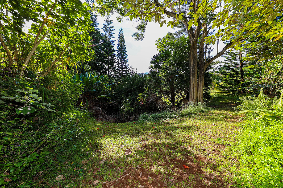 6828-B KUAMOO RD 2, Kapaa, Hawaii, 96746, United States, ,Land,For Sale,6828-B KUAMOO RD 2,1672725