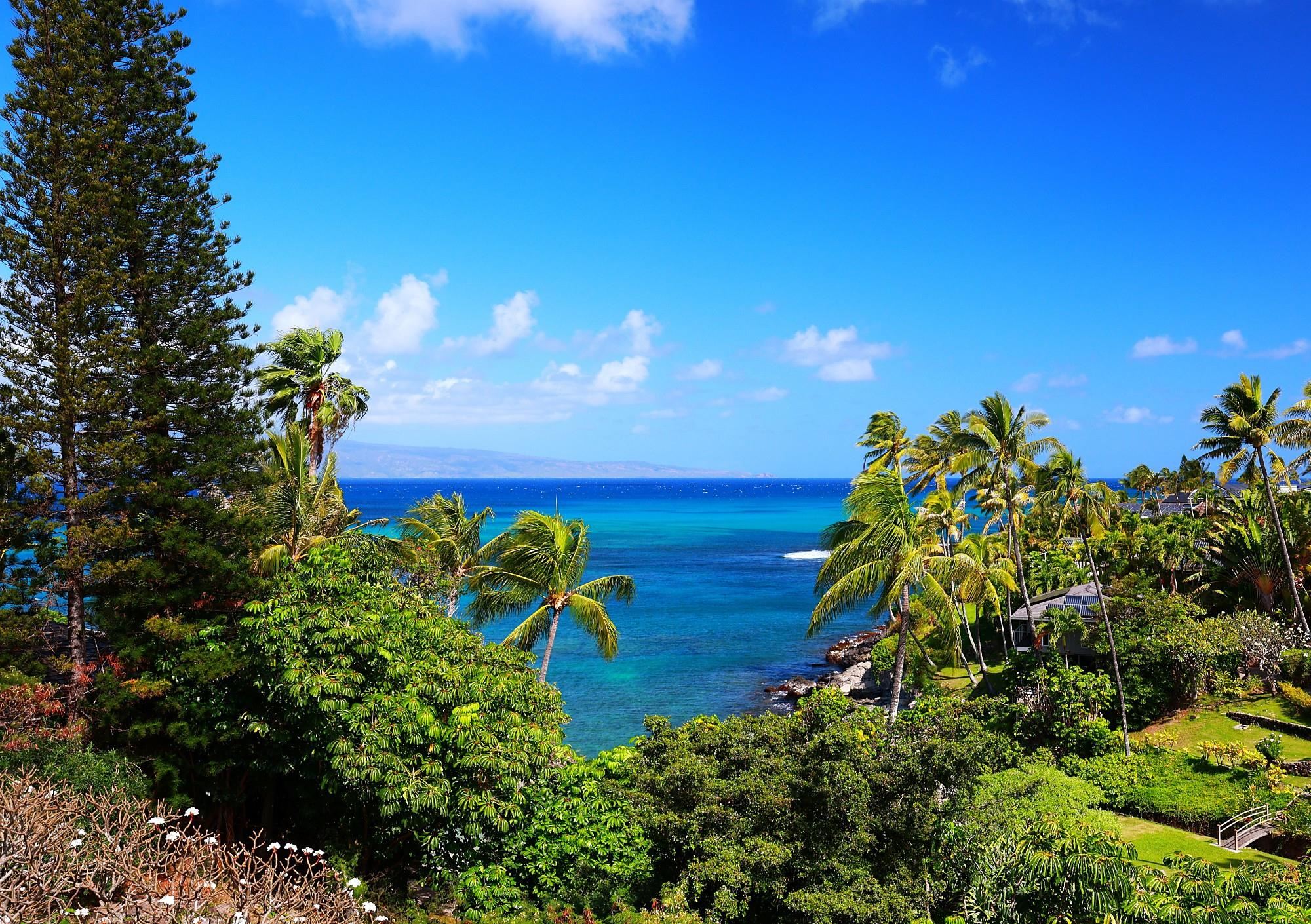 Lahaina, Hawaii, 96761, United States, 4 Bedrooms Bedrooms, ,5 BathroomsBathrooms,Residential,For Sale,1730605