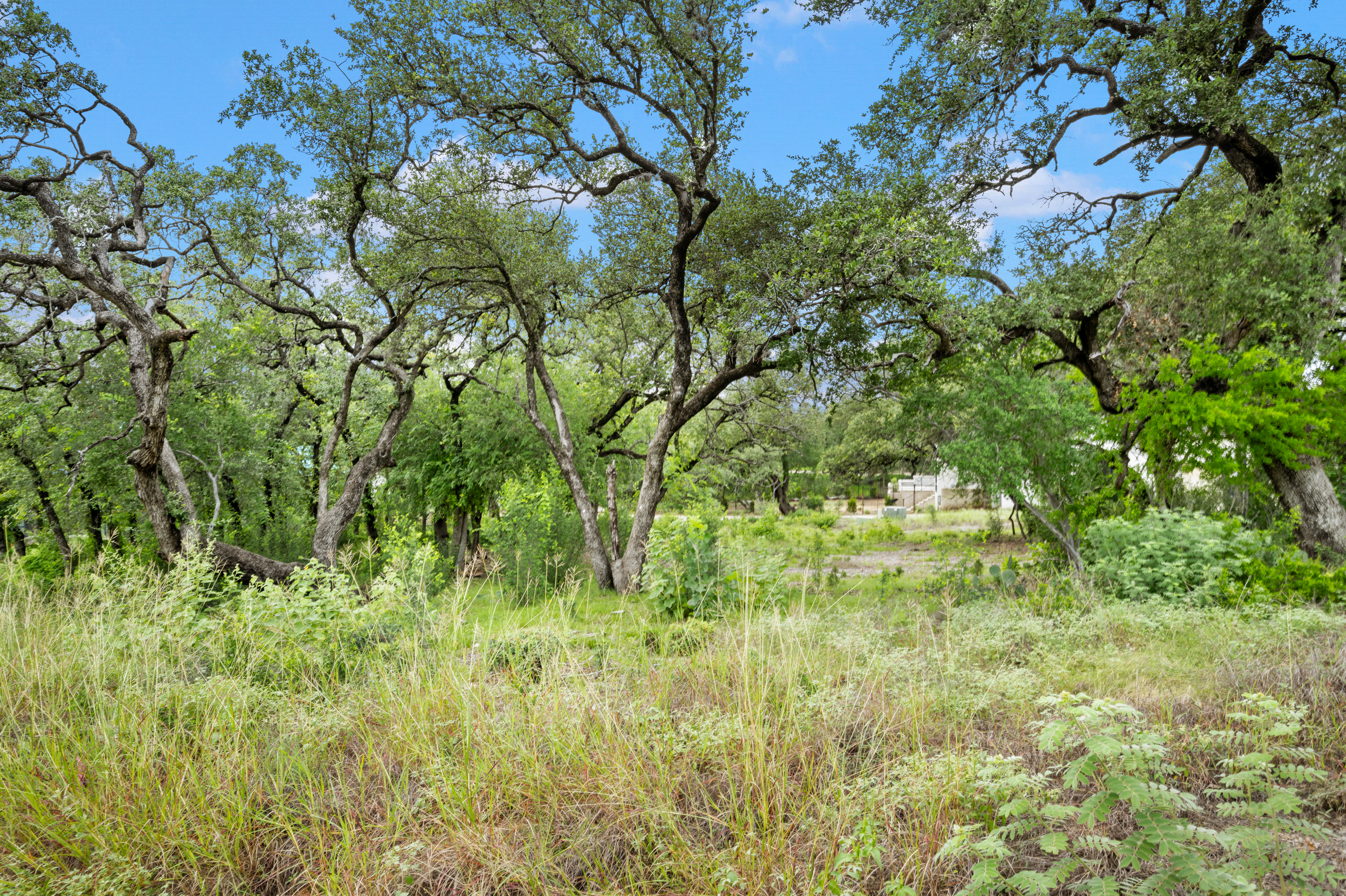  Luxury Corner Lot in Guard-Gated Inverness - 物件實景
