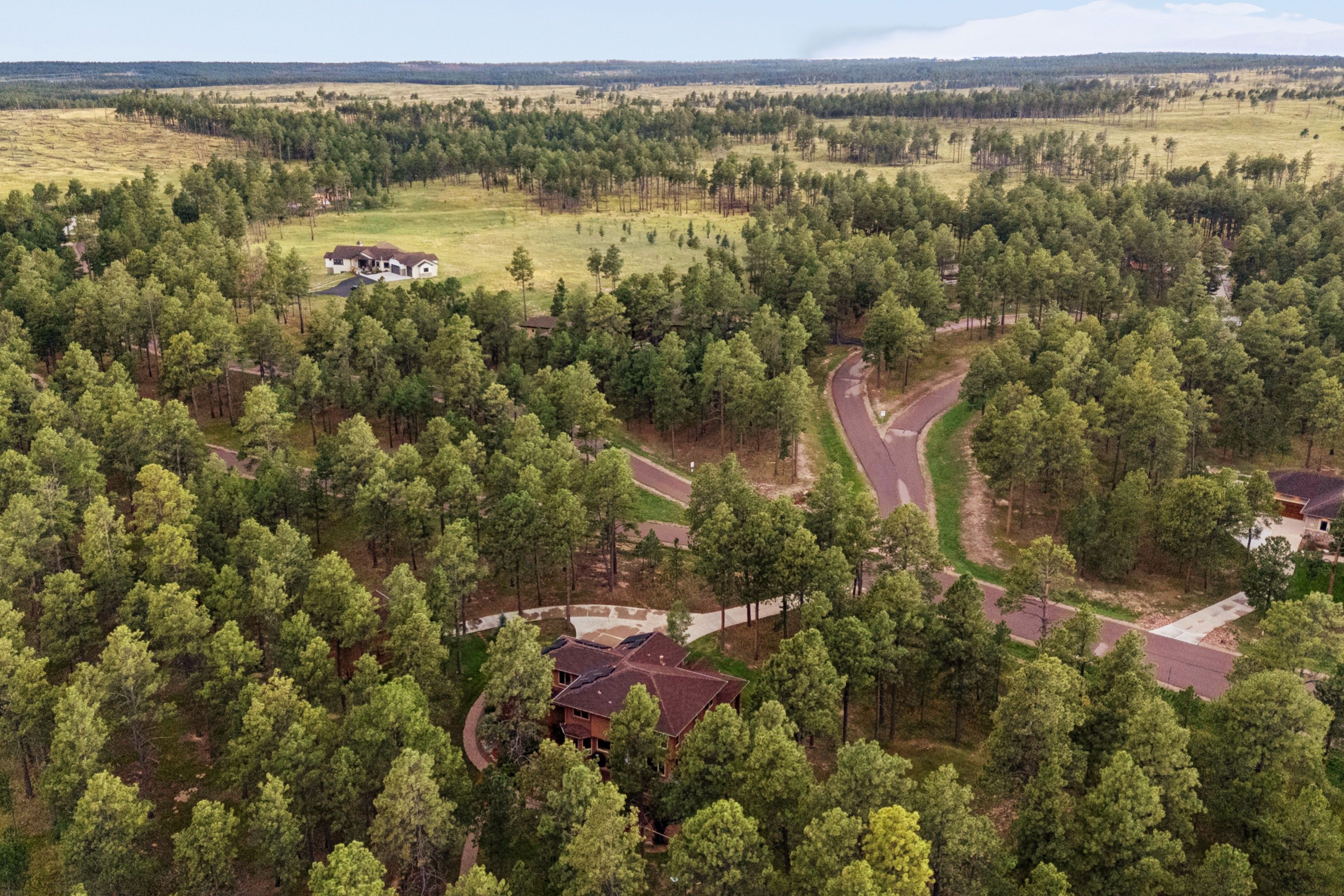  Stunning mountain craftsman in gated Black Forest - 物件實景