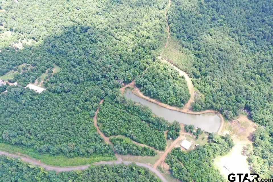 Lone Star, Texas, 75668, United States, 2 Bedrooms Bedrooms, ,1 BathroomBathrooms,Residential,For Sale,1979709