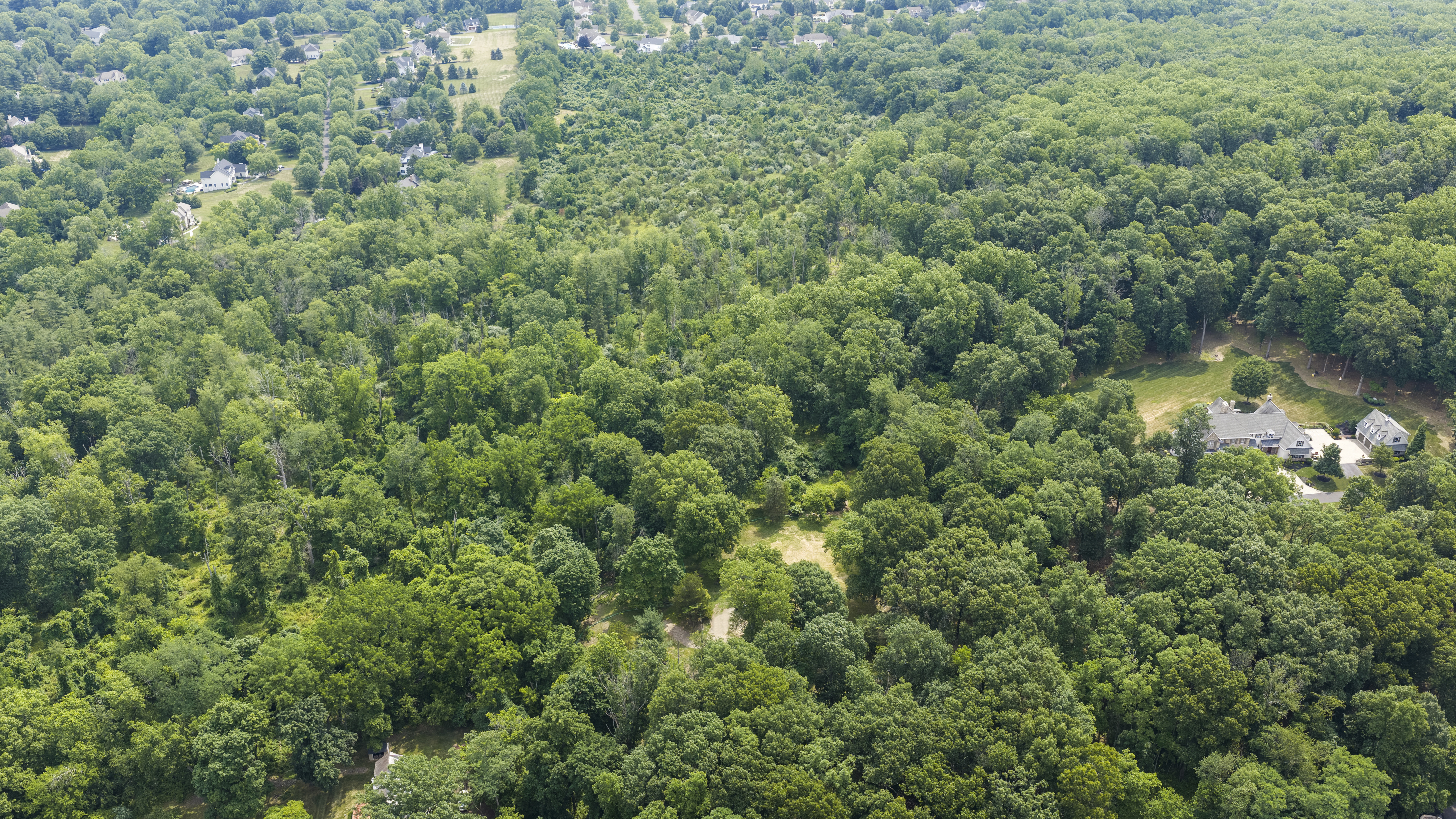  1 Warner Road, New Hope, PA 18938 - 物件實景