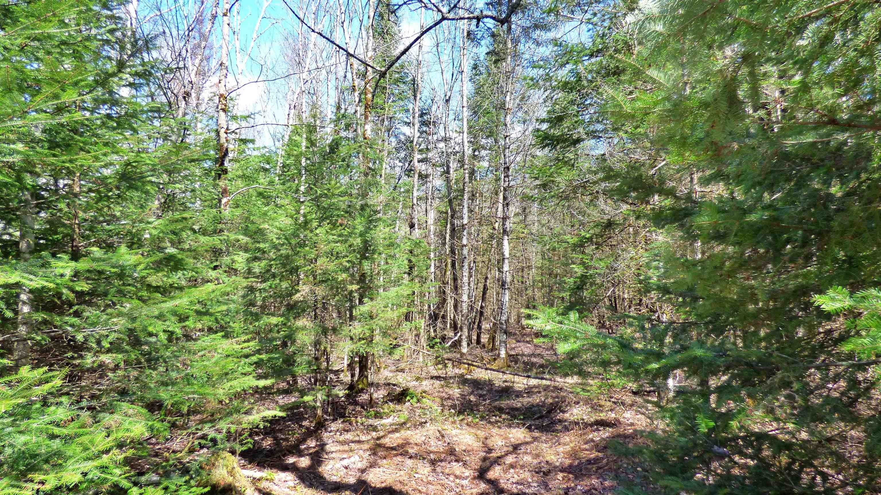 Wheelock, Vermont, 05851, United States, ,Land,For Sale,2017669