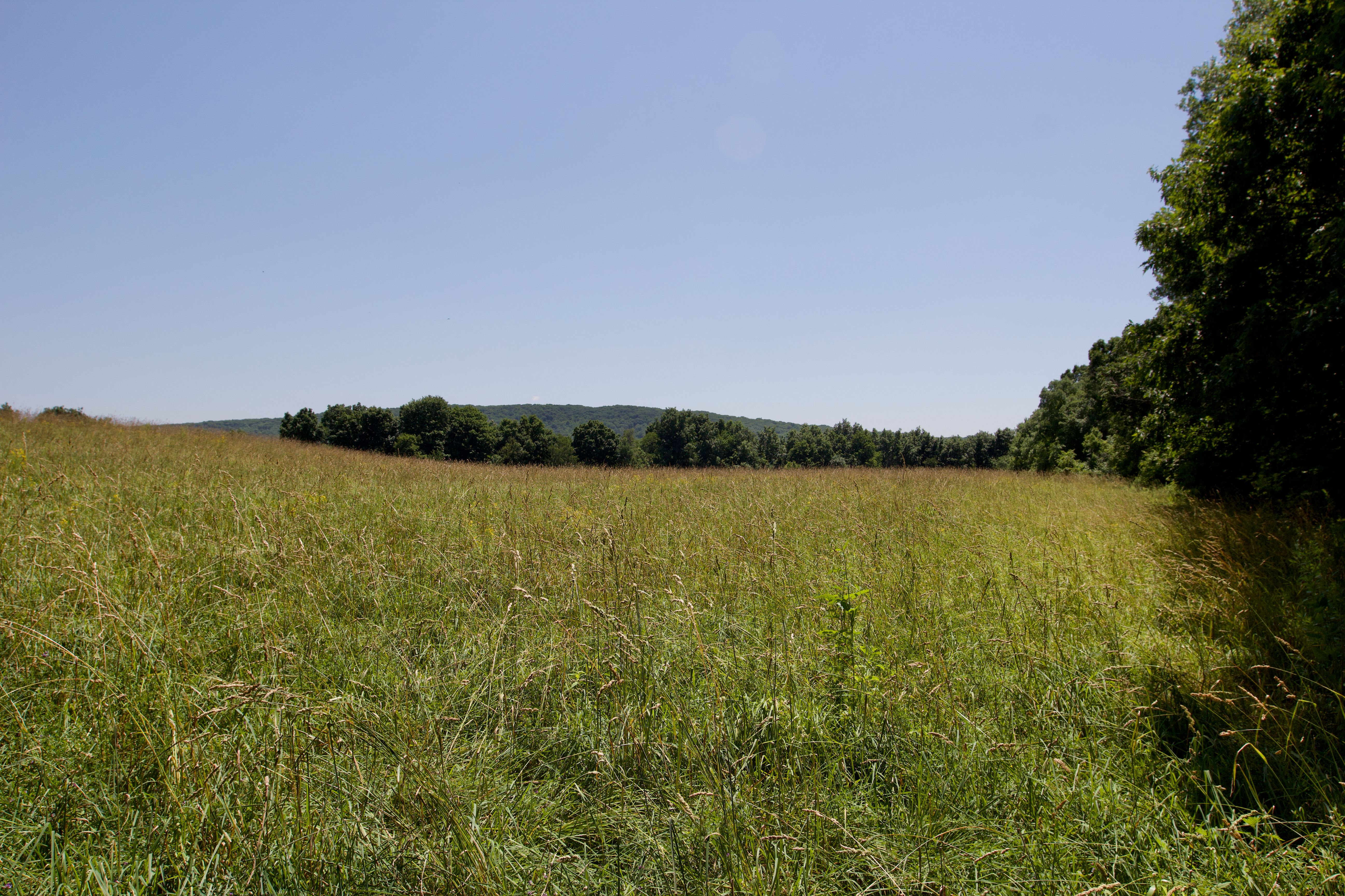  90 West End Road, Hillsdale, NY 12529 - 物件實景