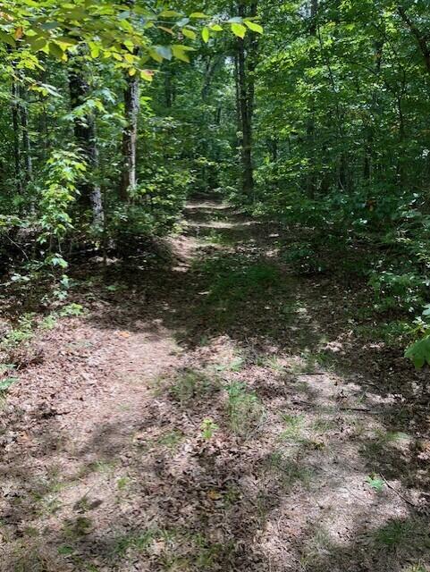 Graysville, Tennessee, 37338, United States, ,Residential,For Sale,1943907