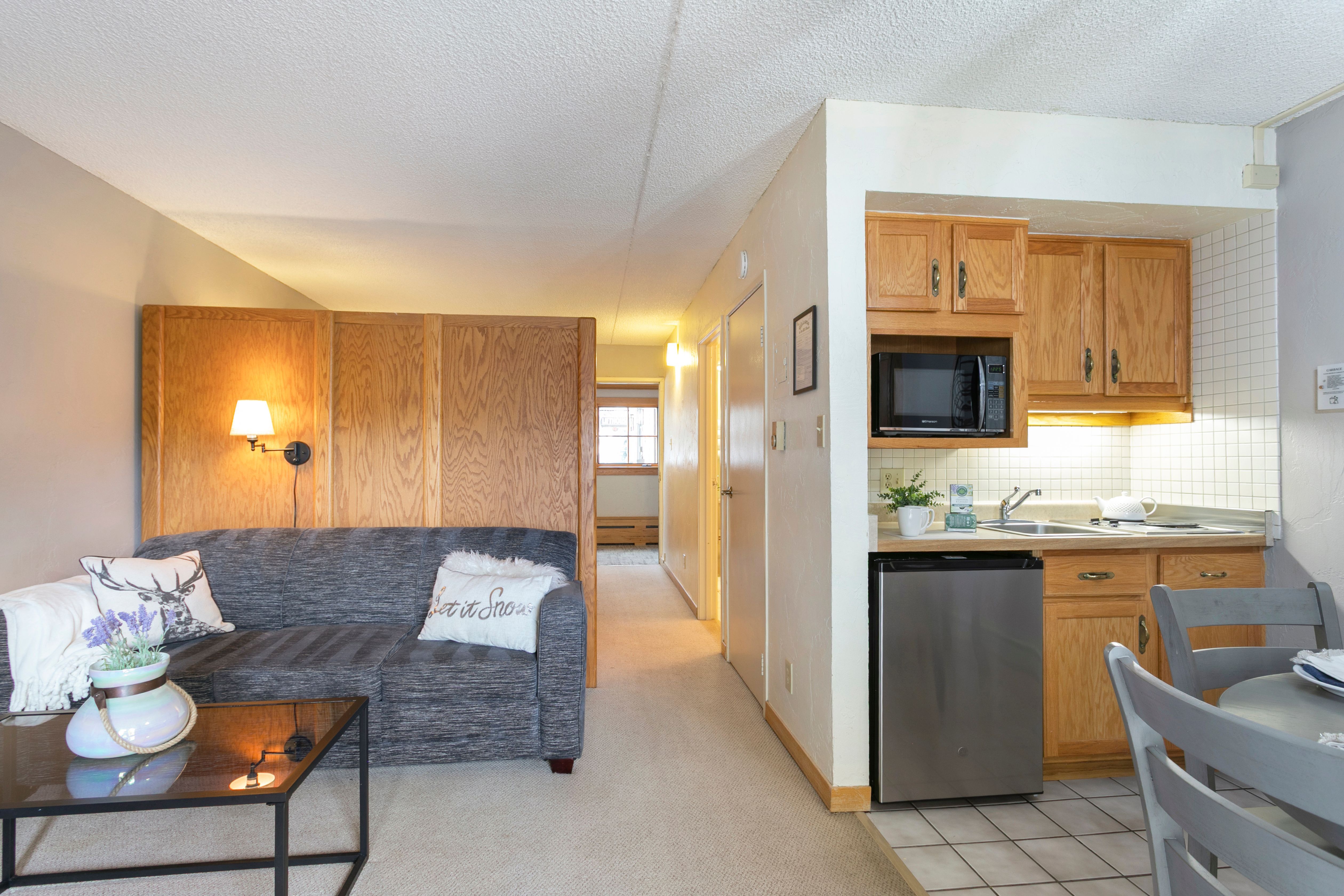  555 E Lionshead Circle, Vail, CO, 81657 - 物件實景