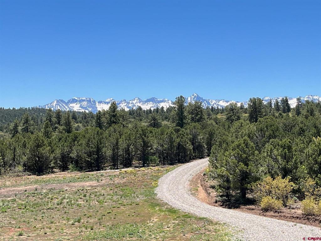 Montrose, Colorado, 81403, United States, ,Land,For Sale,1919926