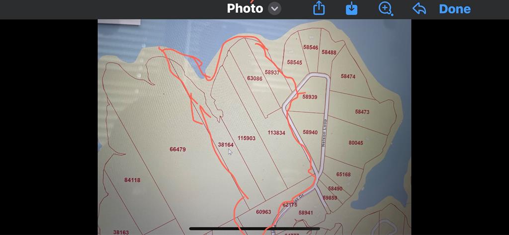 Streetman, Texas, 75859, United States, ,Land,For Sale,1751472