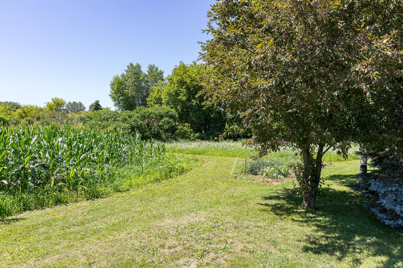 W4348 State Road 23, Fond Du Lac, Wisconsin, 54937, United States, 3 Bedrooms Bedrooms, ,2 BathroomsBathrooms,Residential,For Sale,W4348 State Road 23,1317705