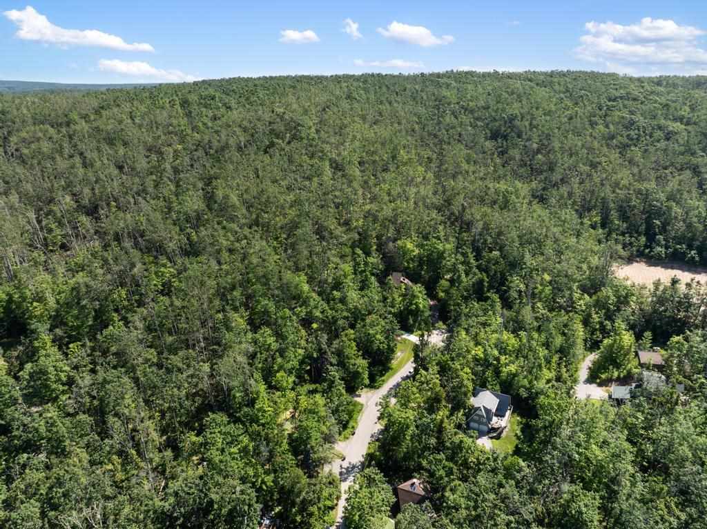 Harbor Springs, Michigan, 49740, United States, 2 Bedrooms Bedrooms, ,2 BathroomsBathrooms,Residential,For Sale,1901422