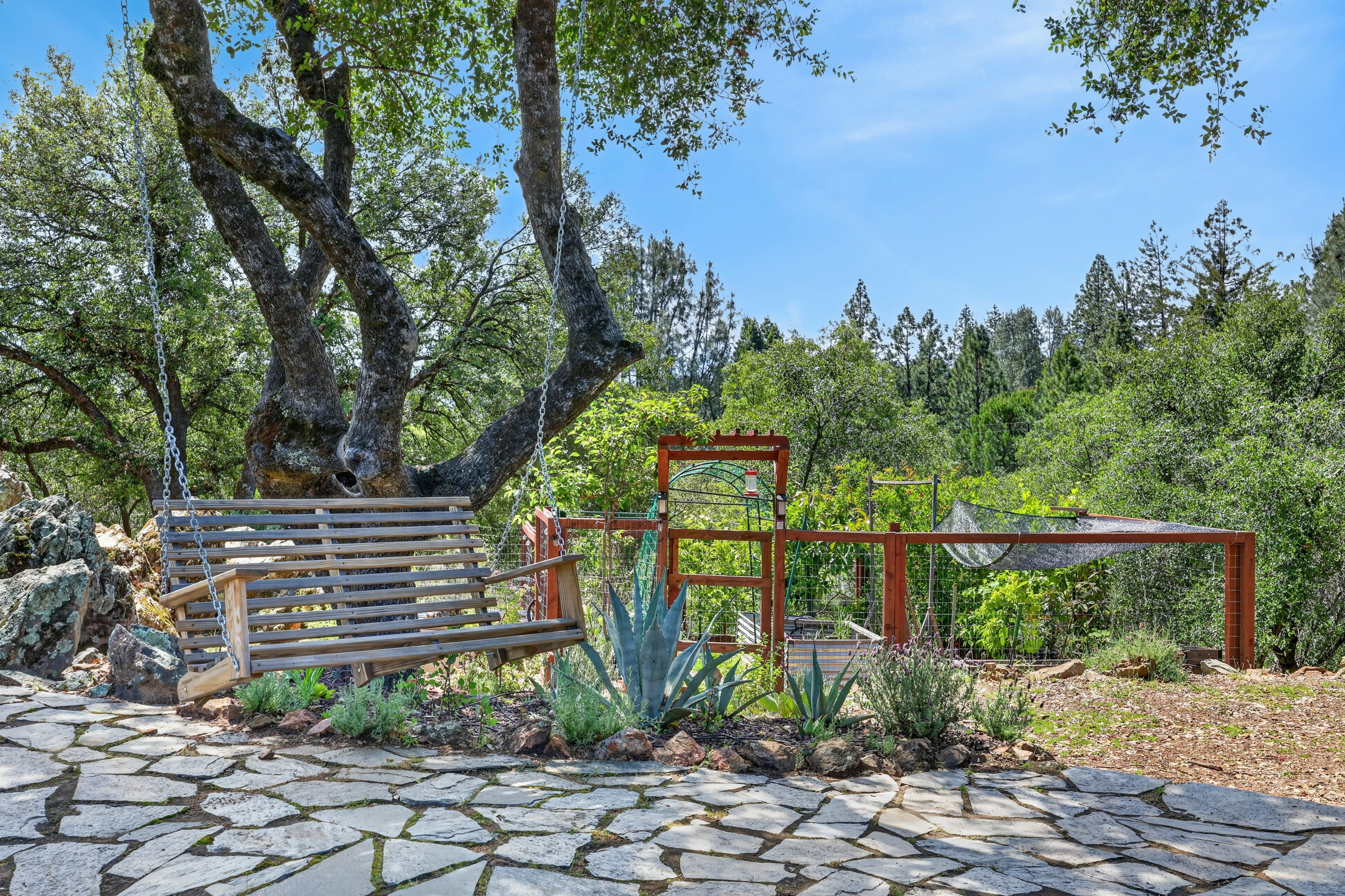  2566 Westville Trail, Cool, CA 95614 - 物件實景