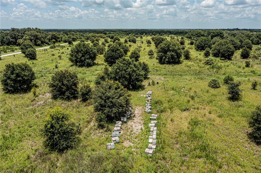 Arcadia, Florida, 34269, United States, ,Land,For Sale,1997252