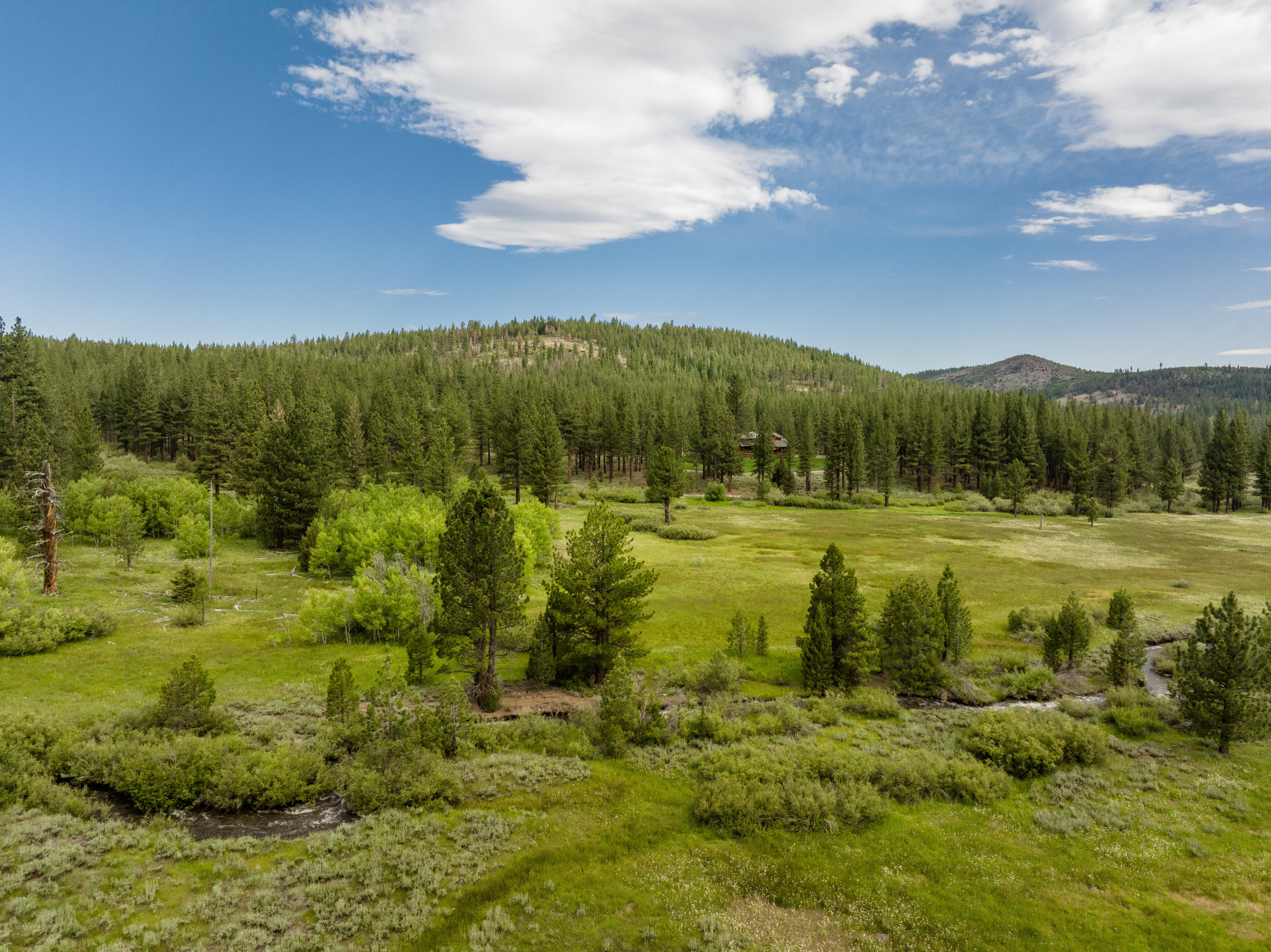  High Meadow Ranch Lodge - 物件實景