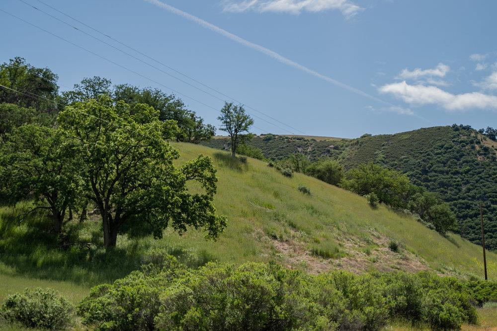 Greenfield, California, 93927, United States, ,Residential,For Sale,1943227