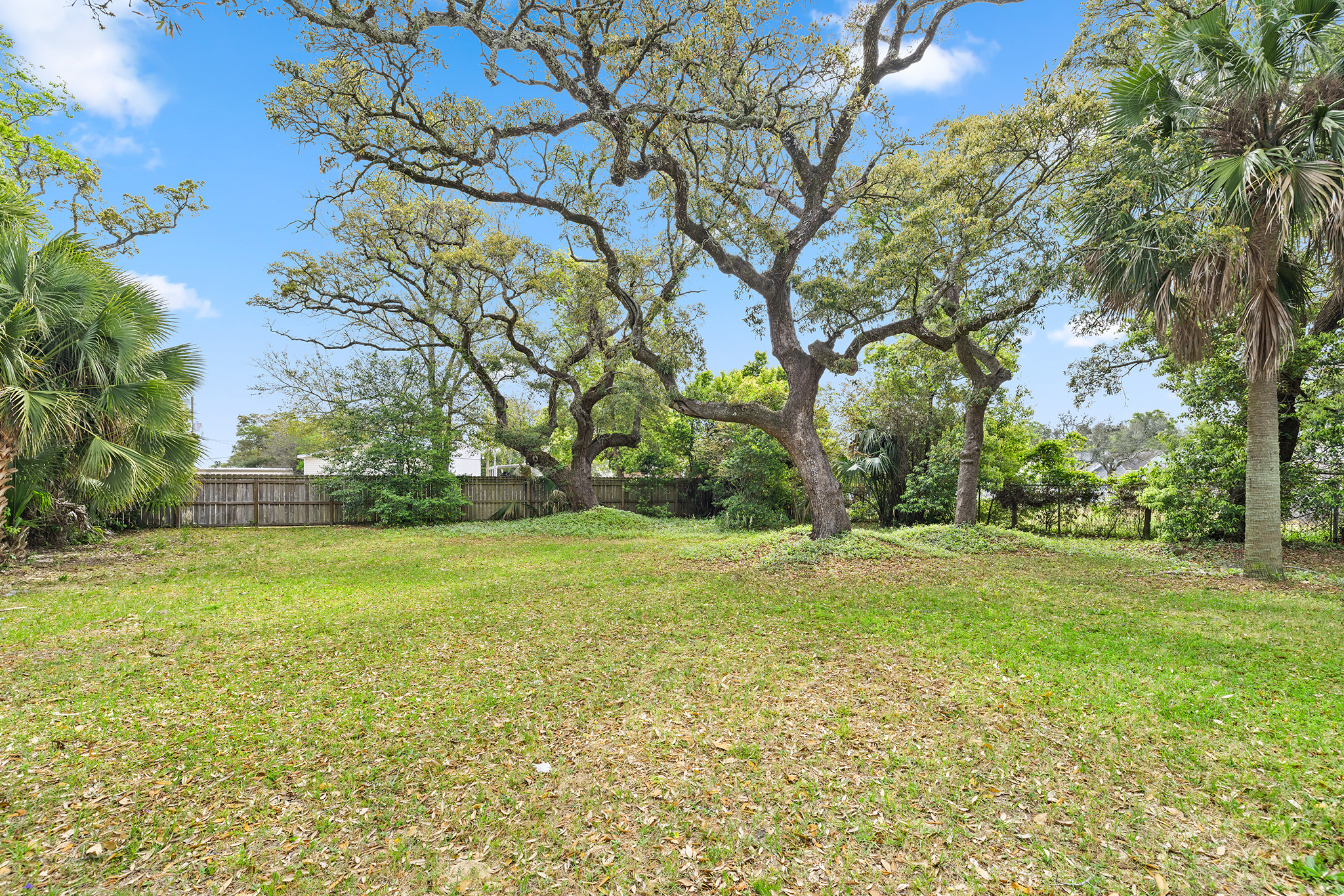  Southern Charm Near Downtown - 物件實景